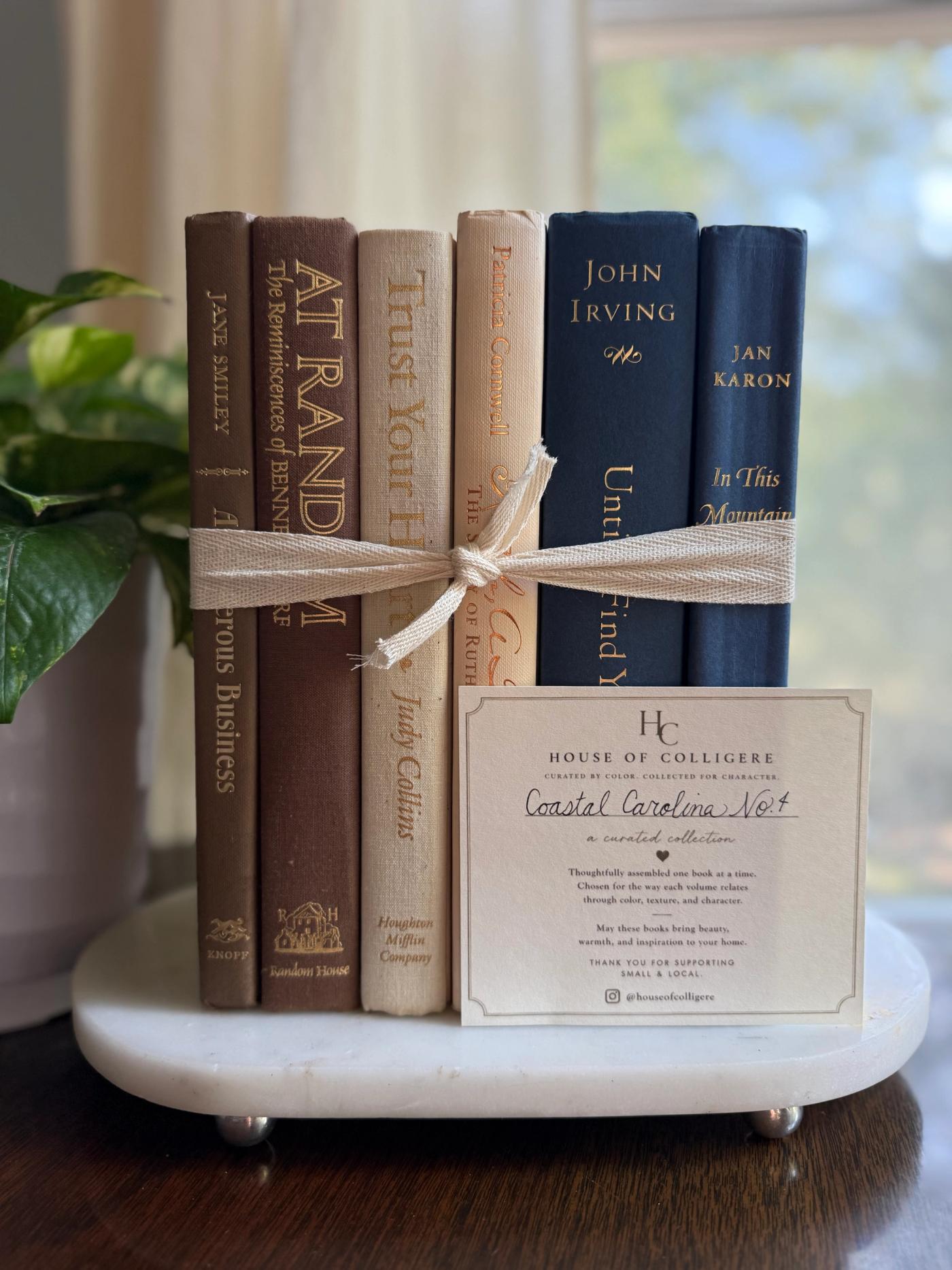 Curated collection of weathered blue, oyster, sand, linen, and driftwood-toned books with soft coastal character.