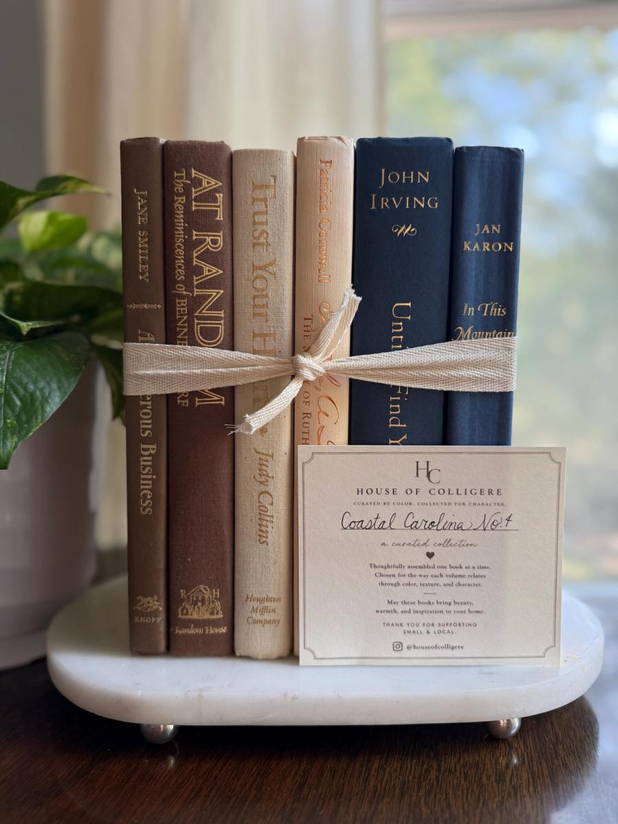 Curated collection of weathered blue, oyster, sand, linen, and driftwood-toned books with soft coastal character.