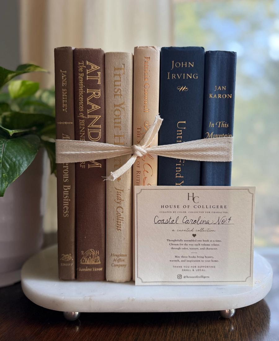 Curated collection of weathered blue, oyster, sand, linen, and driftwood-toned books with soft coastal character.