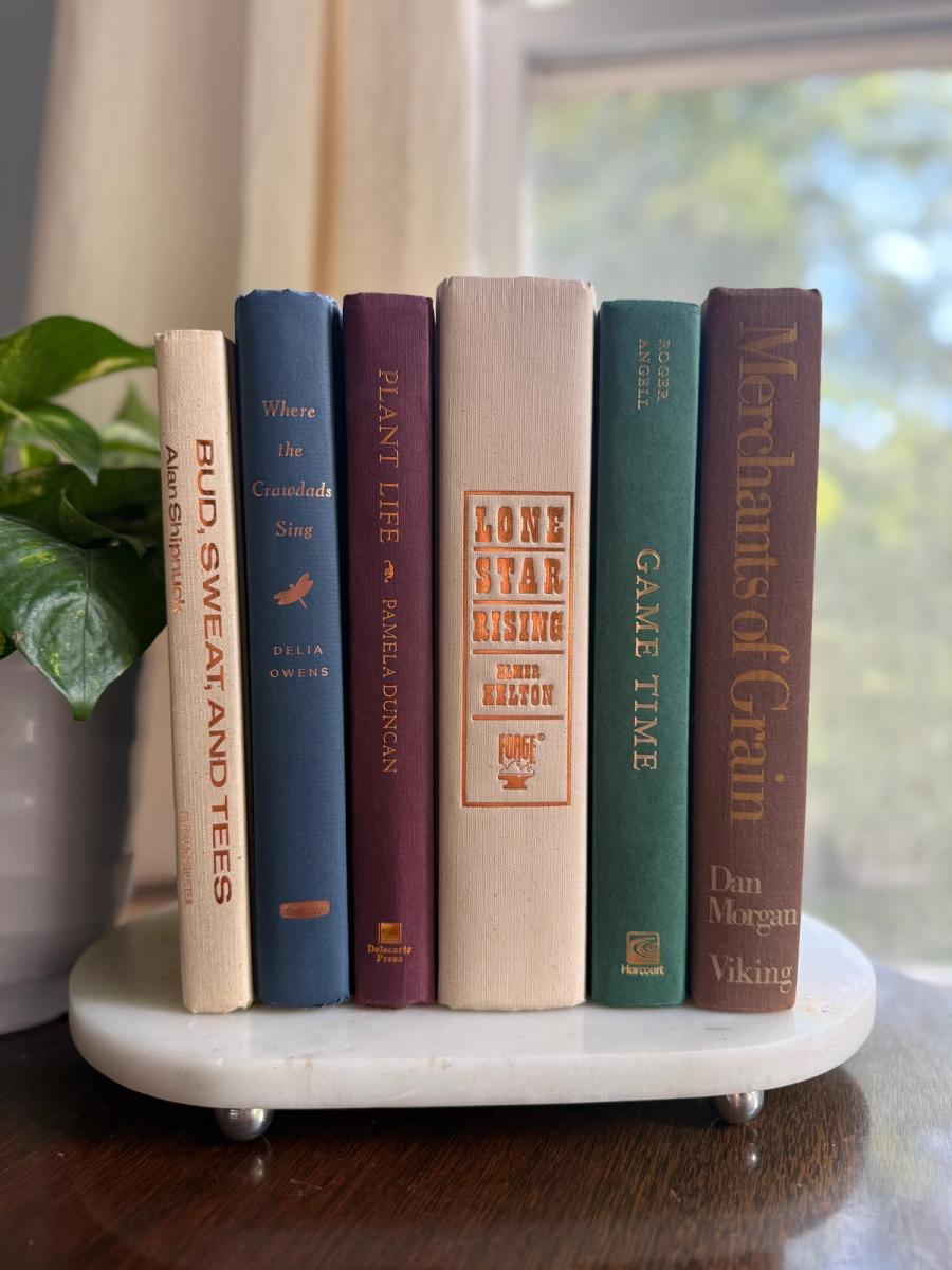 Curated collection of rich brown, hunter green, deep navy, and warm ivory books with classic gold accents.