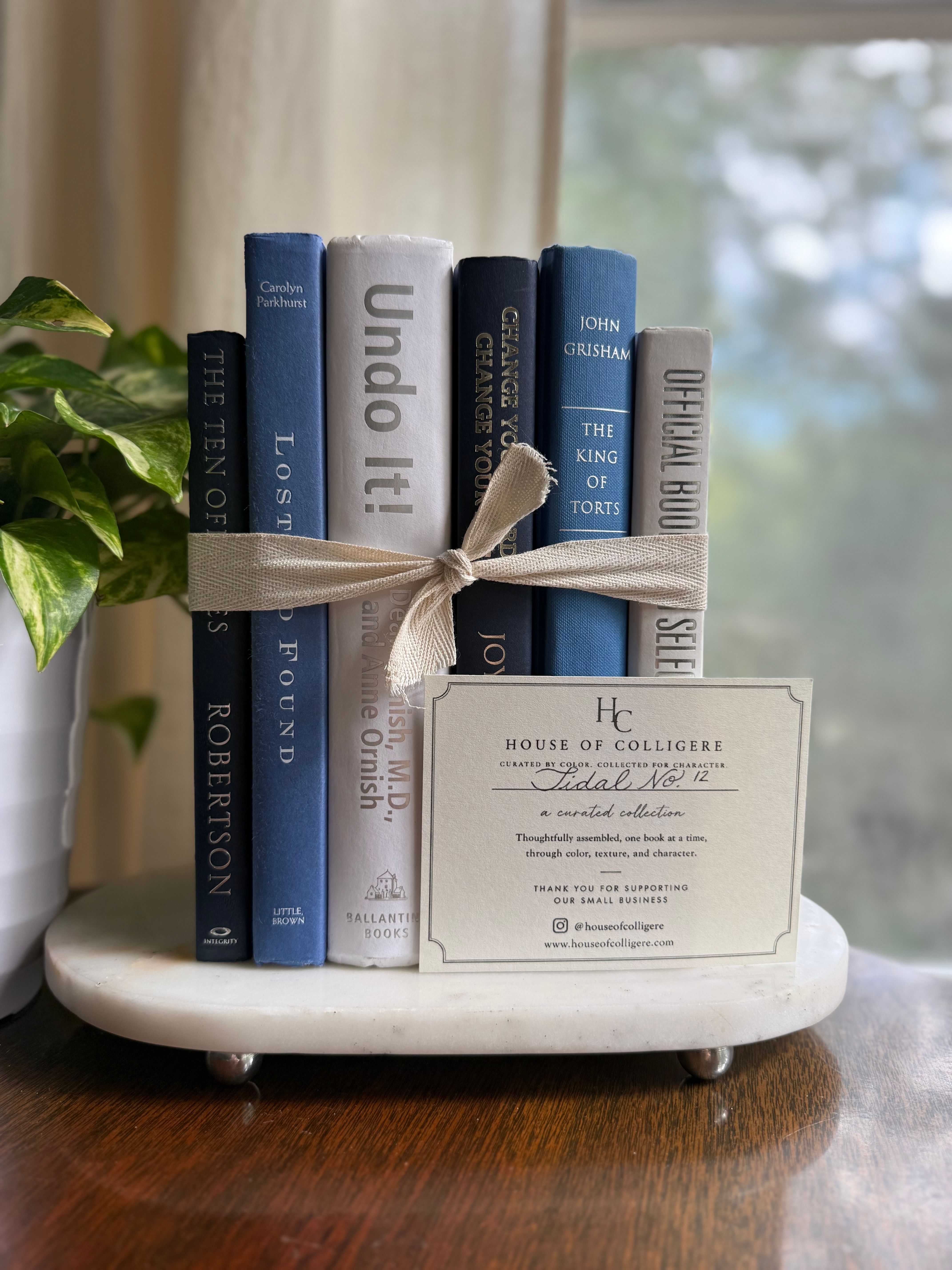 Curated collection of layered blue books ranging from pale coastal blue to deeper ocean tones.
