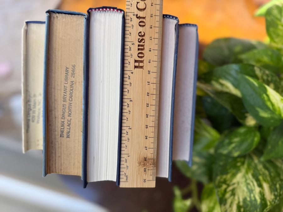 Curated collection of layered blue books ranging from pale coastal blue to deeper ocean tones.