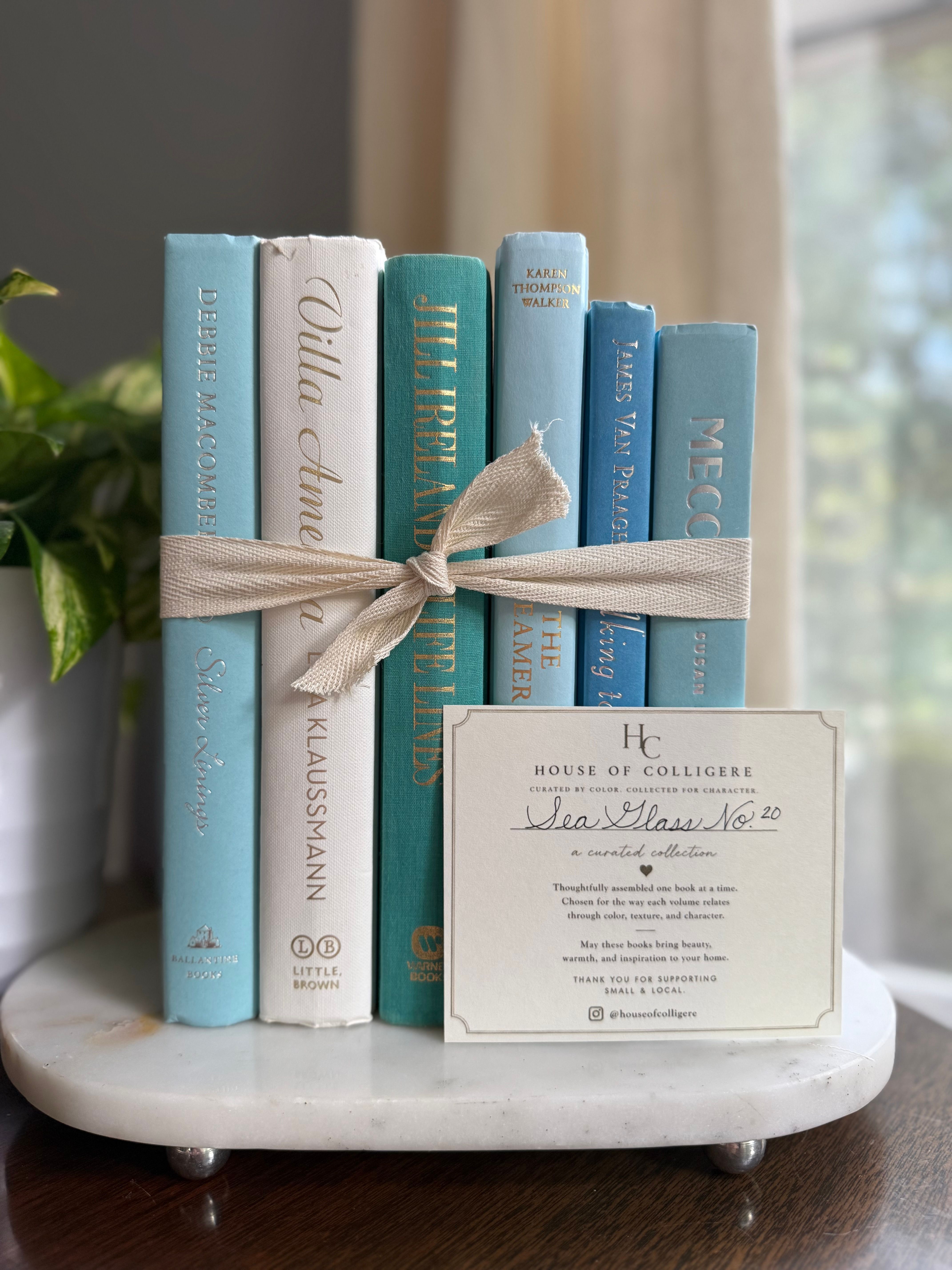 Curated collection of soft blue, aqua, seafoam, and muted coastal-toned books.