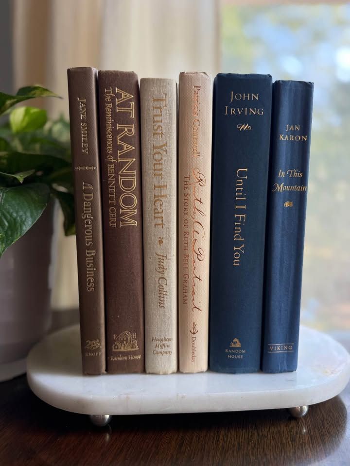 Curated collection of weathered blue, oyster, sand, linen, and driftwood-toned books with soft coastal character.