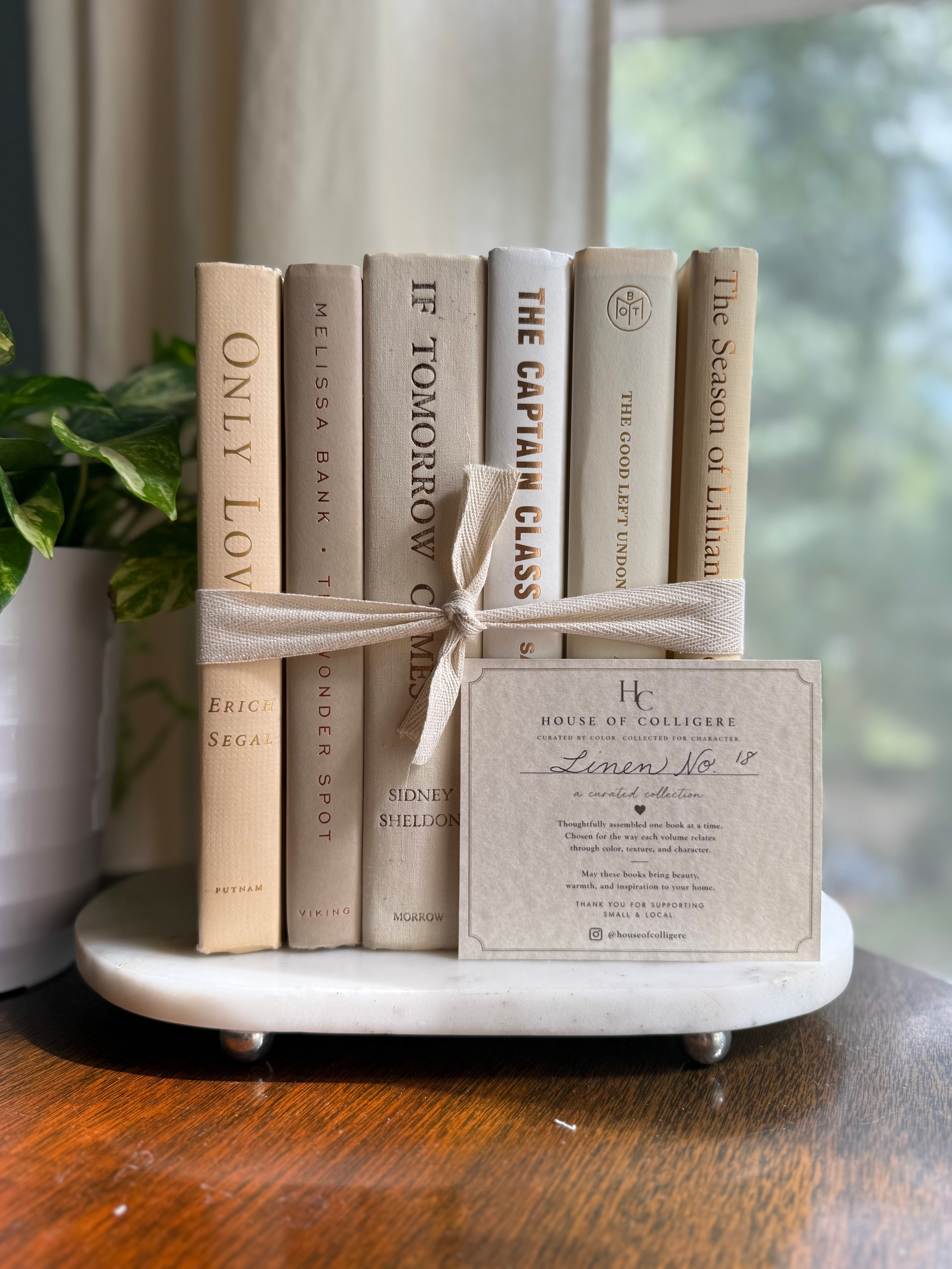 Curated collection of white, ivory, and cream hardcover books with soft neutral tones on a coffee table beside a plant 