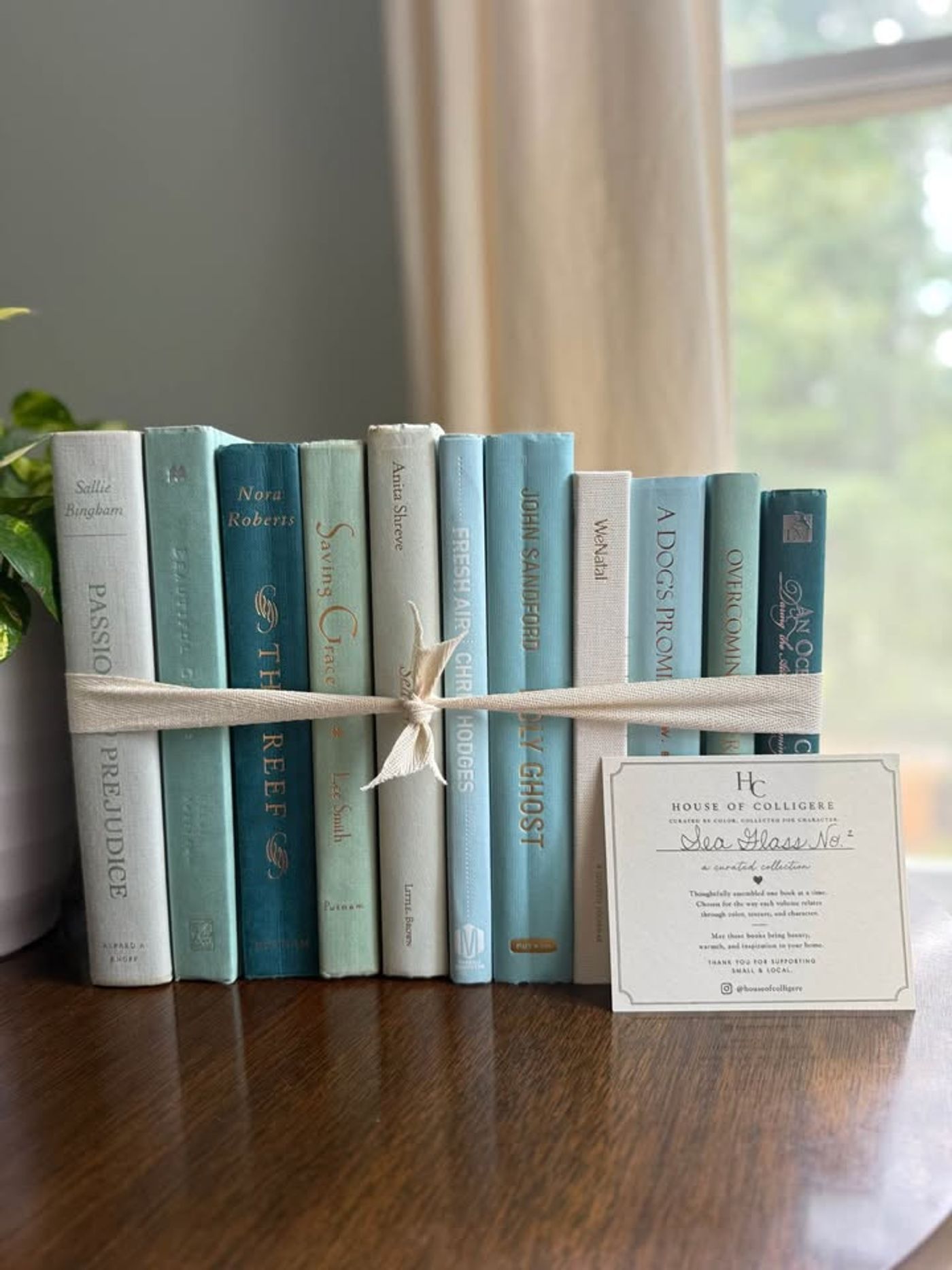 Curated collection of soft blue, aqua, seafoam, and muted coastal-toned books.