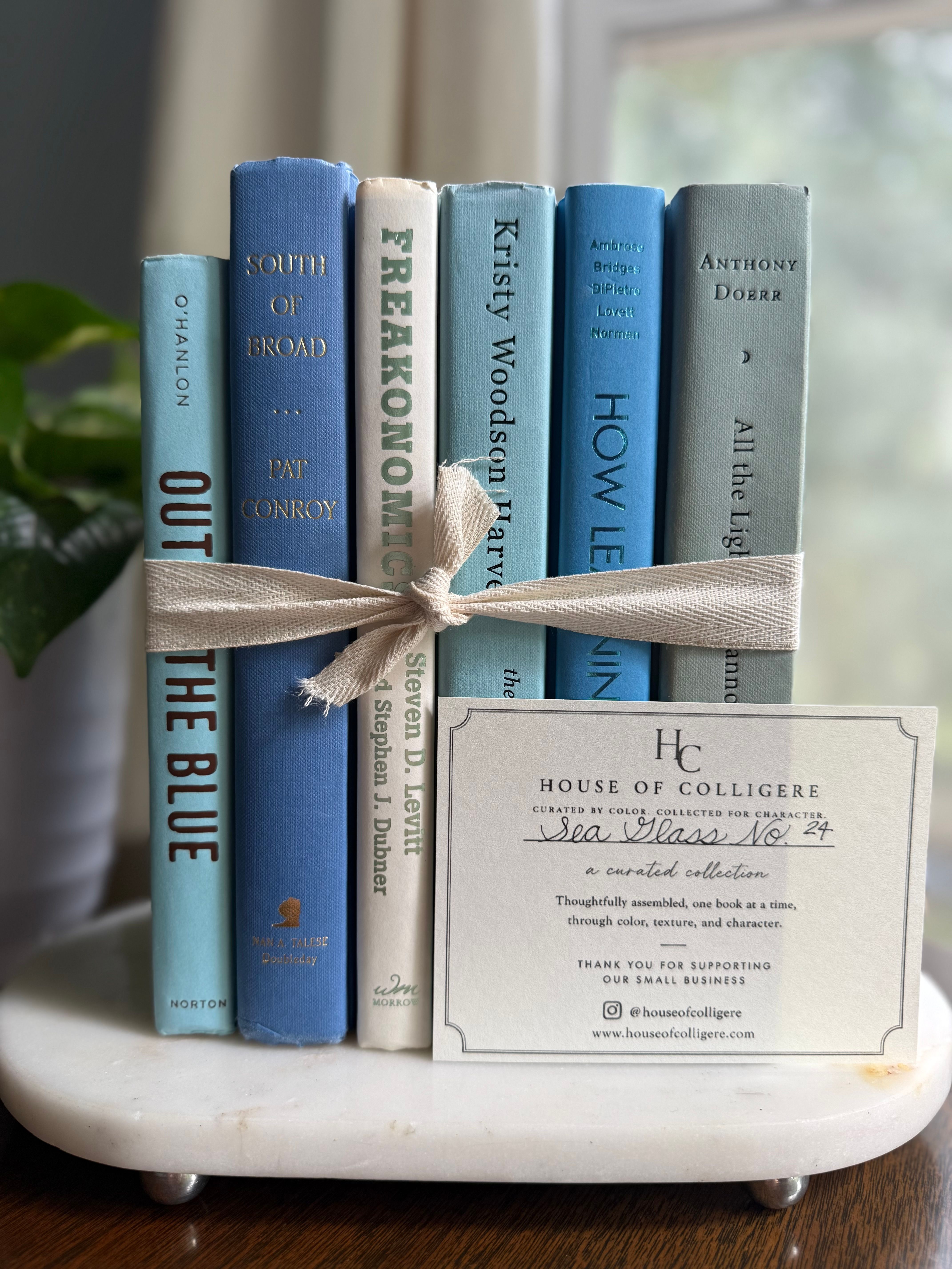 Curated collection of soft blue, aqua, seafoam, and muted coastal-toned books.