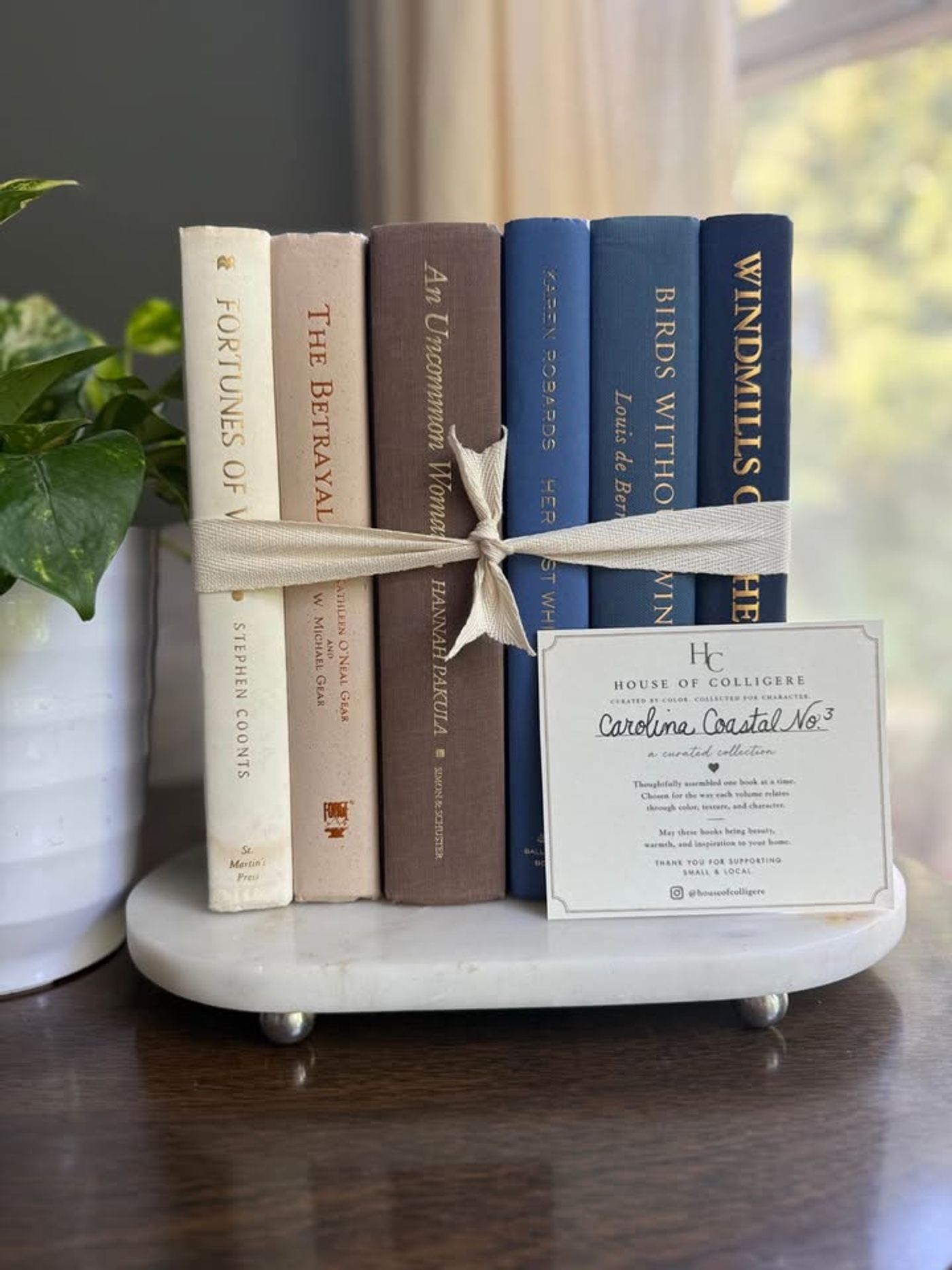 Curated collection of weathered blue, oyster, sand, linen, and driftwood-toned books with soft coastal character.