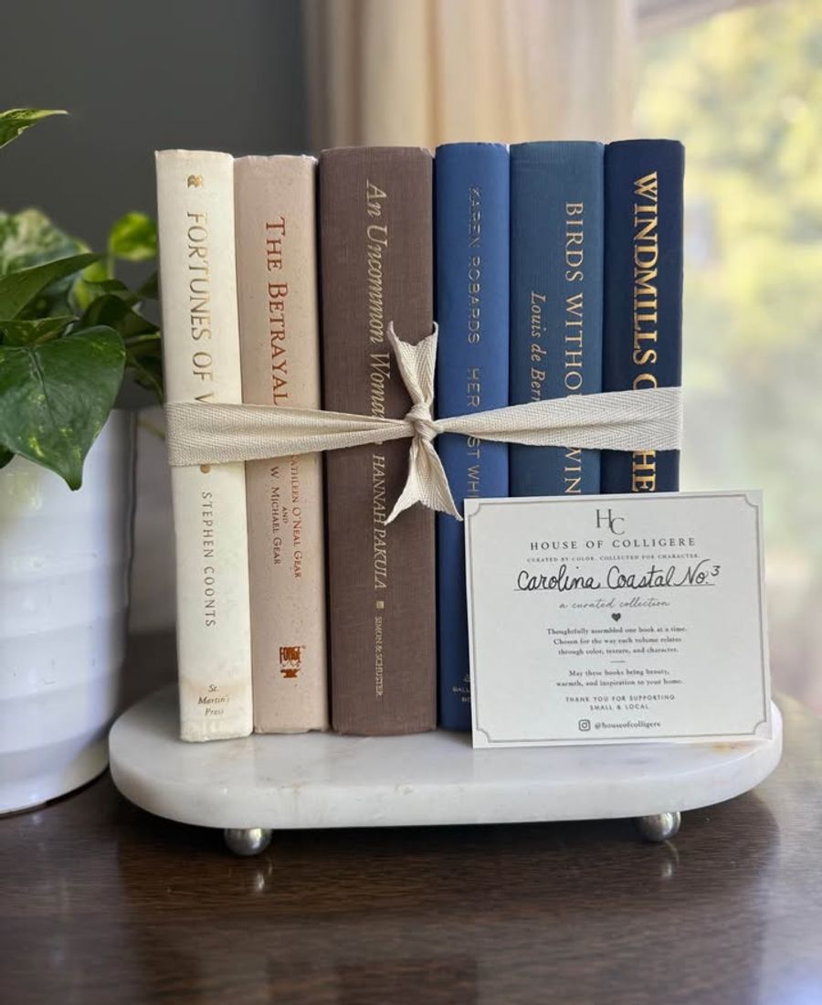 Curated collection of weathered blue, oyster, sand, linen, and driftwood-toned books with soft coastal character.
