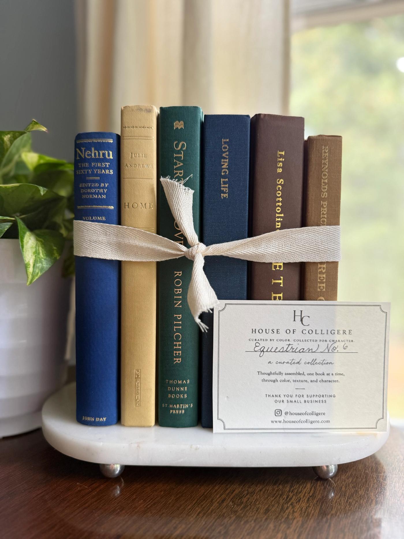 Curated collection of rich brown, hunter green, deep navy, and warm ivory books with classic gold accents.