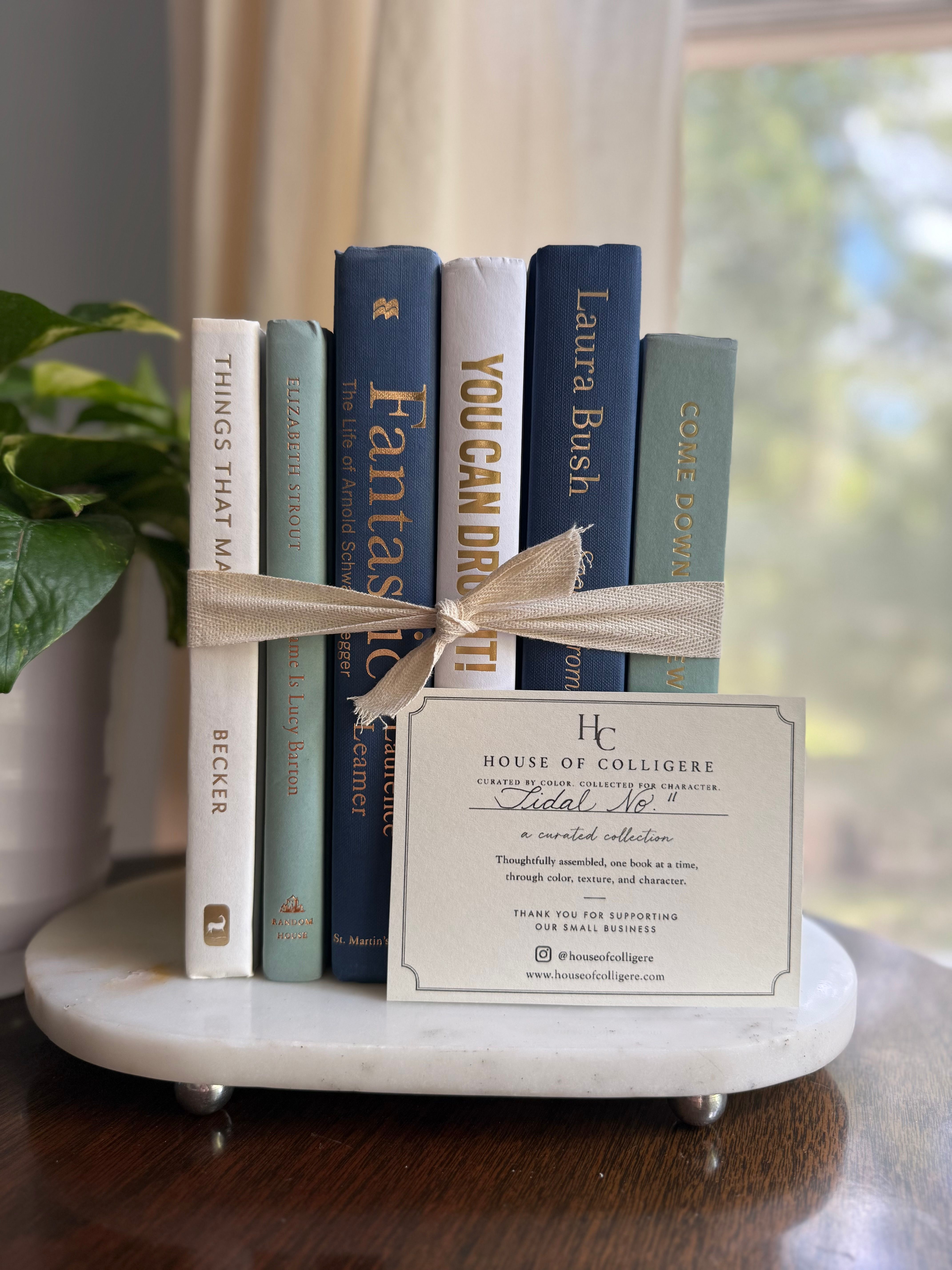 Curated collection of layered blue books ranging from pale coastal blue to deeper ocean tones.
