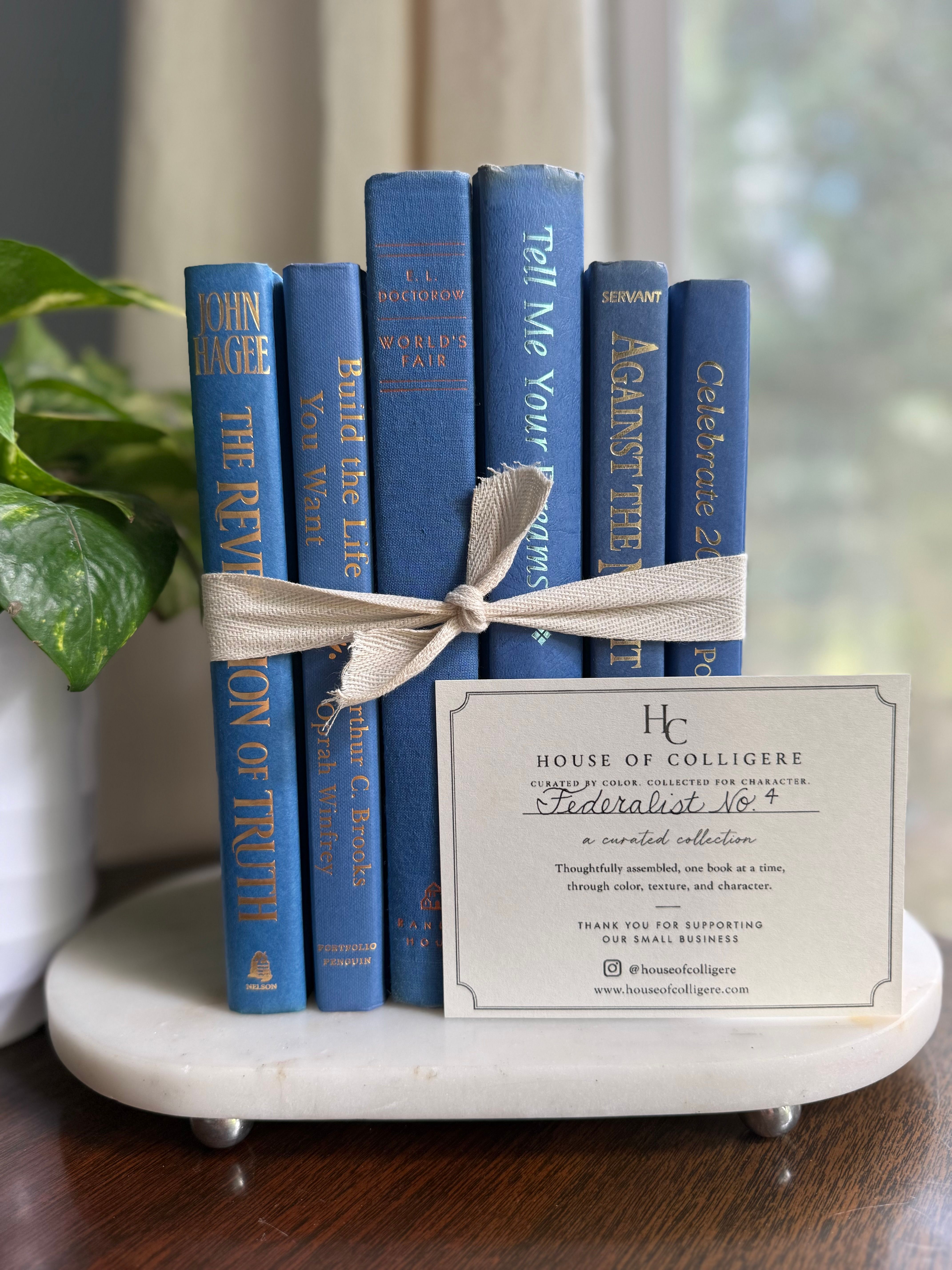 Curated collection of deep navy, warm ivory, brown, and gold-accented books with classic traditional character.