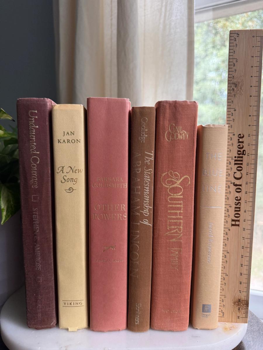 Curated collection of dusty rose, plum, warm brown, taupe, and muted berry-toned books with soft vintage character.