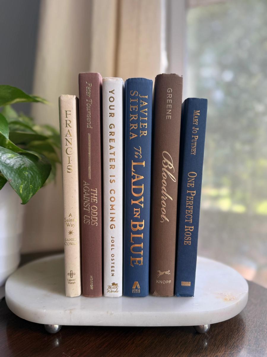 Curated collection of weathered blue, oyster, sand, linen, and driftwood-toned books with soft coastal character.