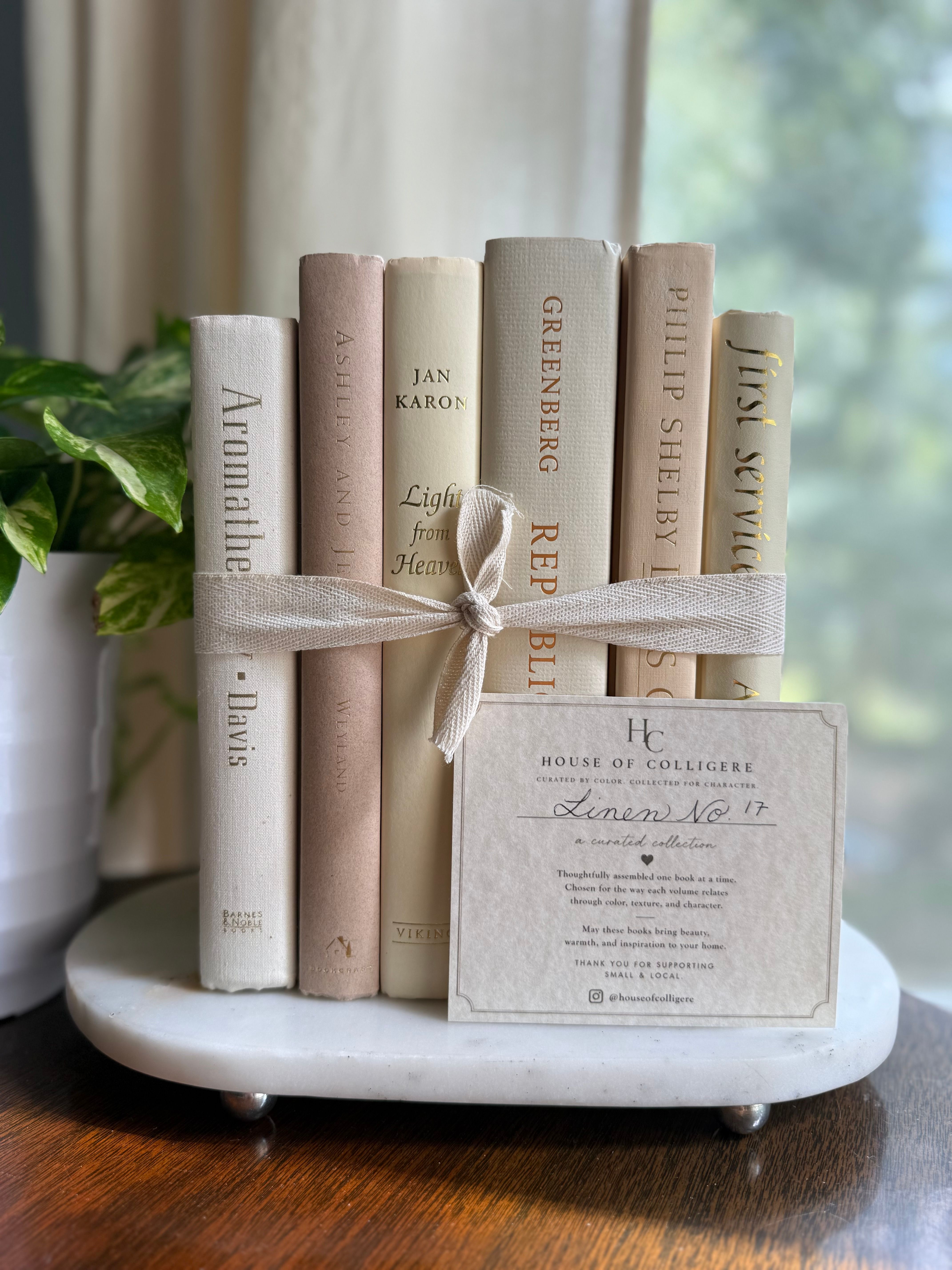 Curated collection of white, ivory, and cream hardcover books with soft neutral tones on a coffee table beside a plant 