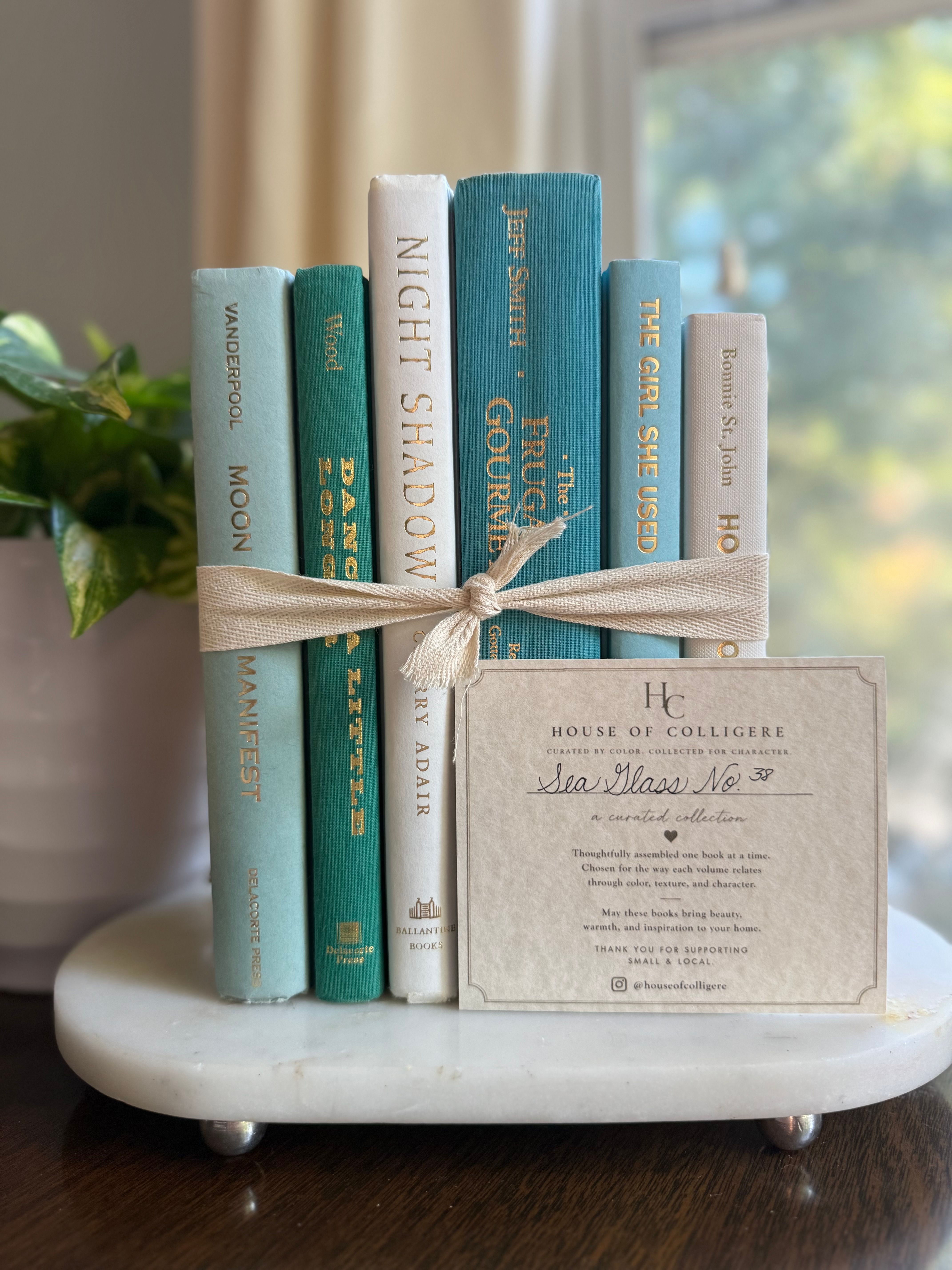 Curated collection of soft blue, aqua, seafoam, and muted coastal-toned books.