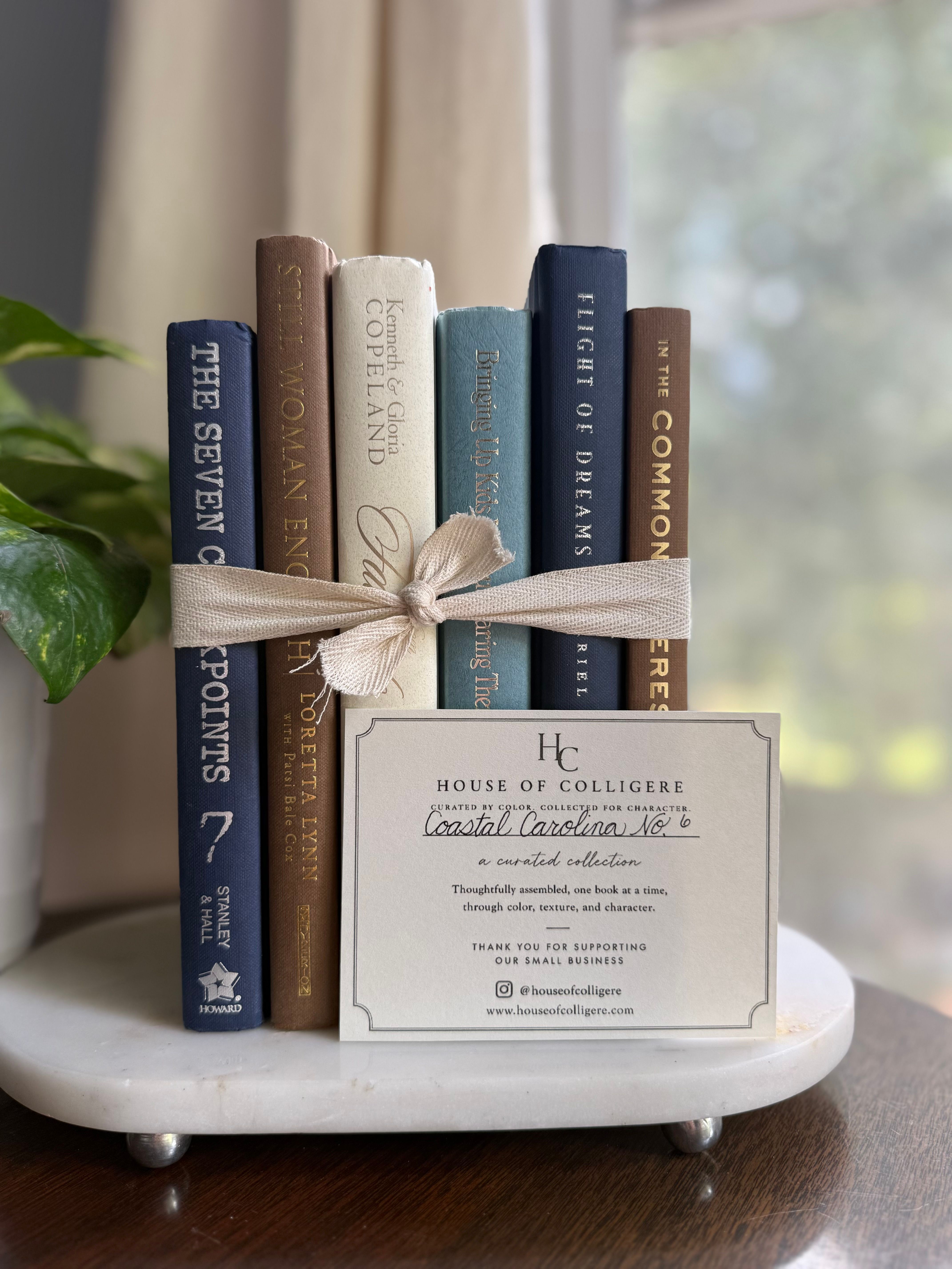 Curated collection of weathered blue, oyster, sand, linen, and driftwood-toned books with soft coastal character.