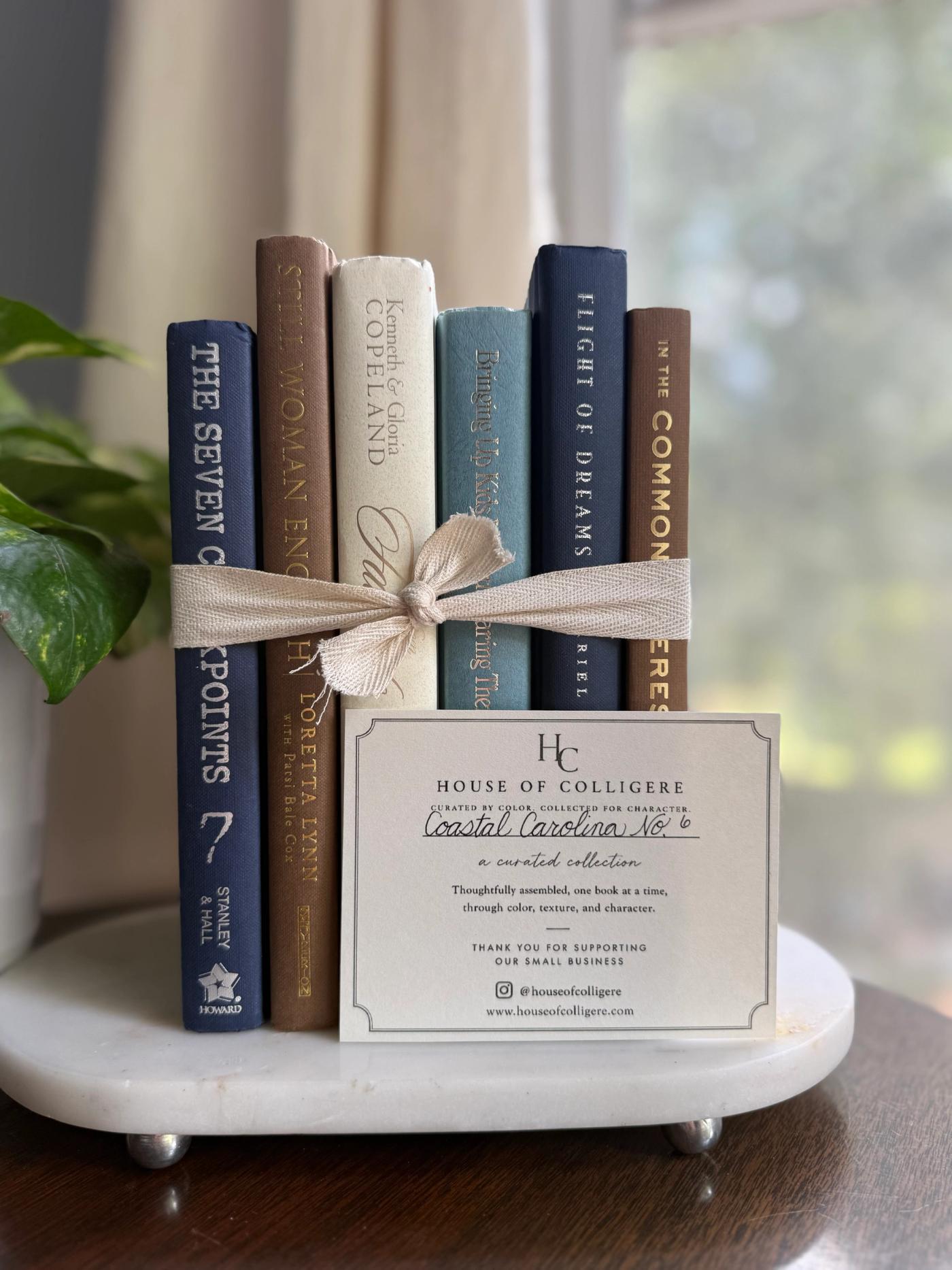 Curated collection of weathered blue, oyster, sand, linen, and driftwood-toned books with soft coastal character.