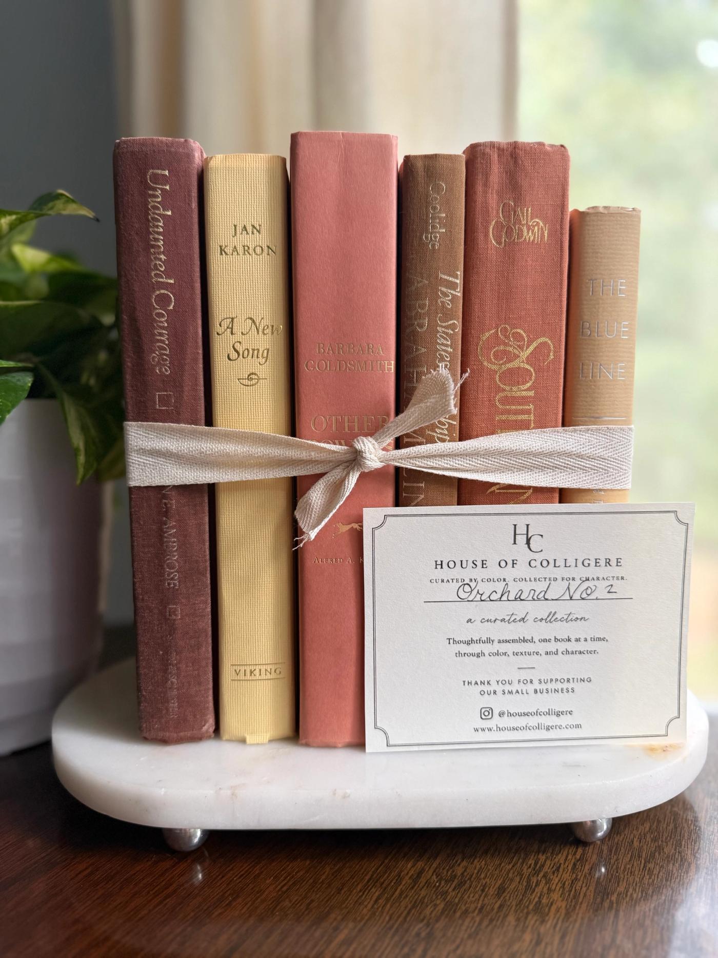 Curated collection of dusty rose, plum, warm brown, taupe, and muted berry-toned books with soft vintage character.