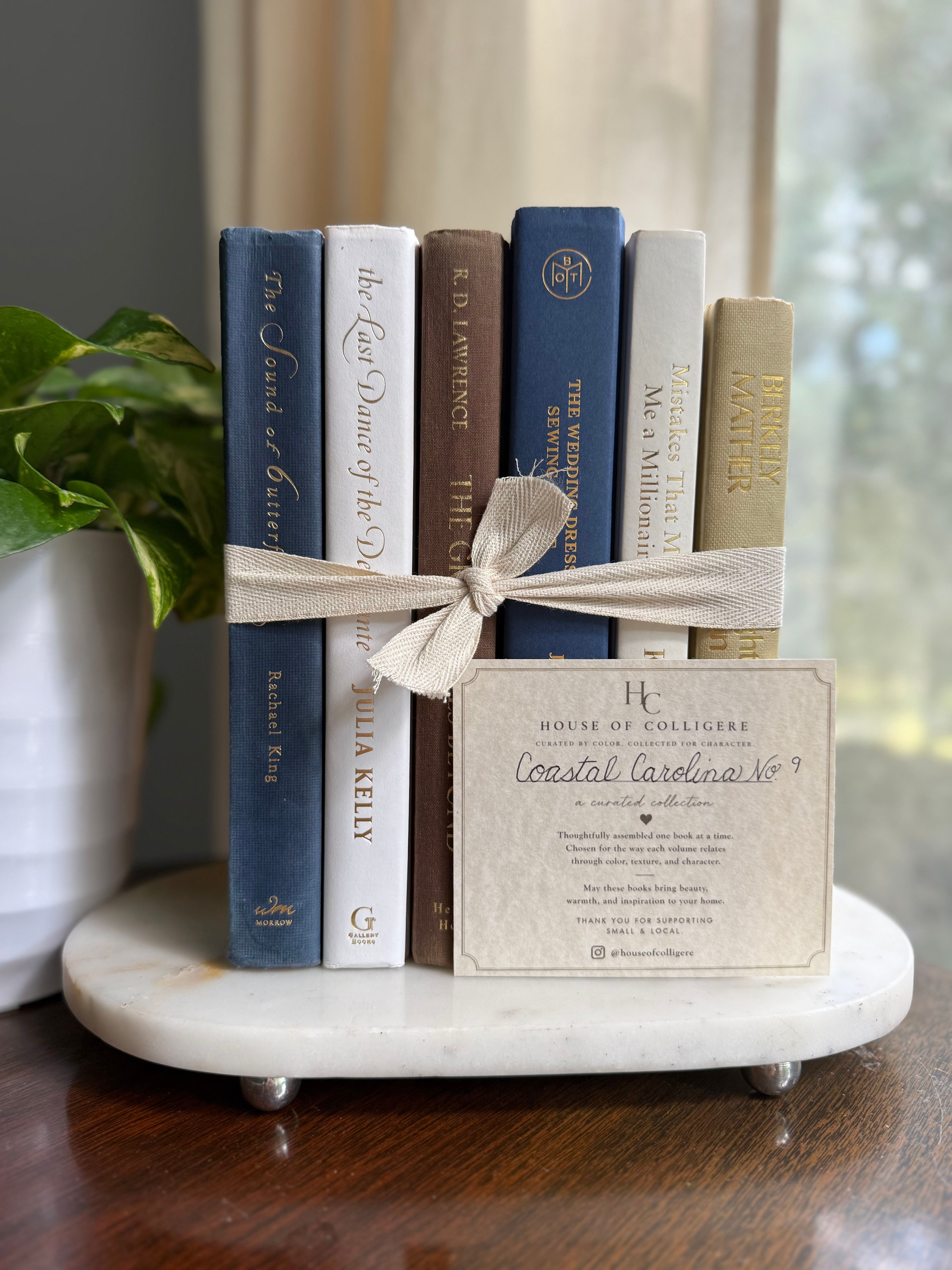 Curated collection of weathered blue, oyster, sand, linen, and driftwood-toned books with soft coastal character.