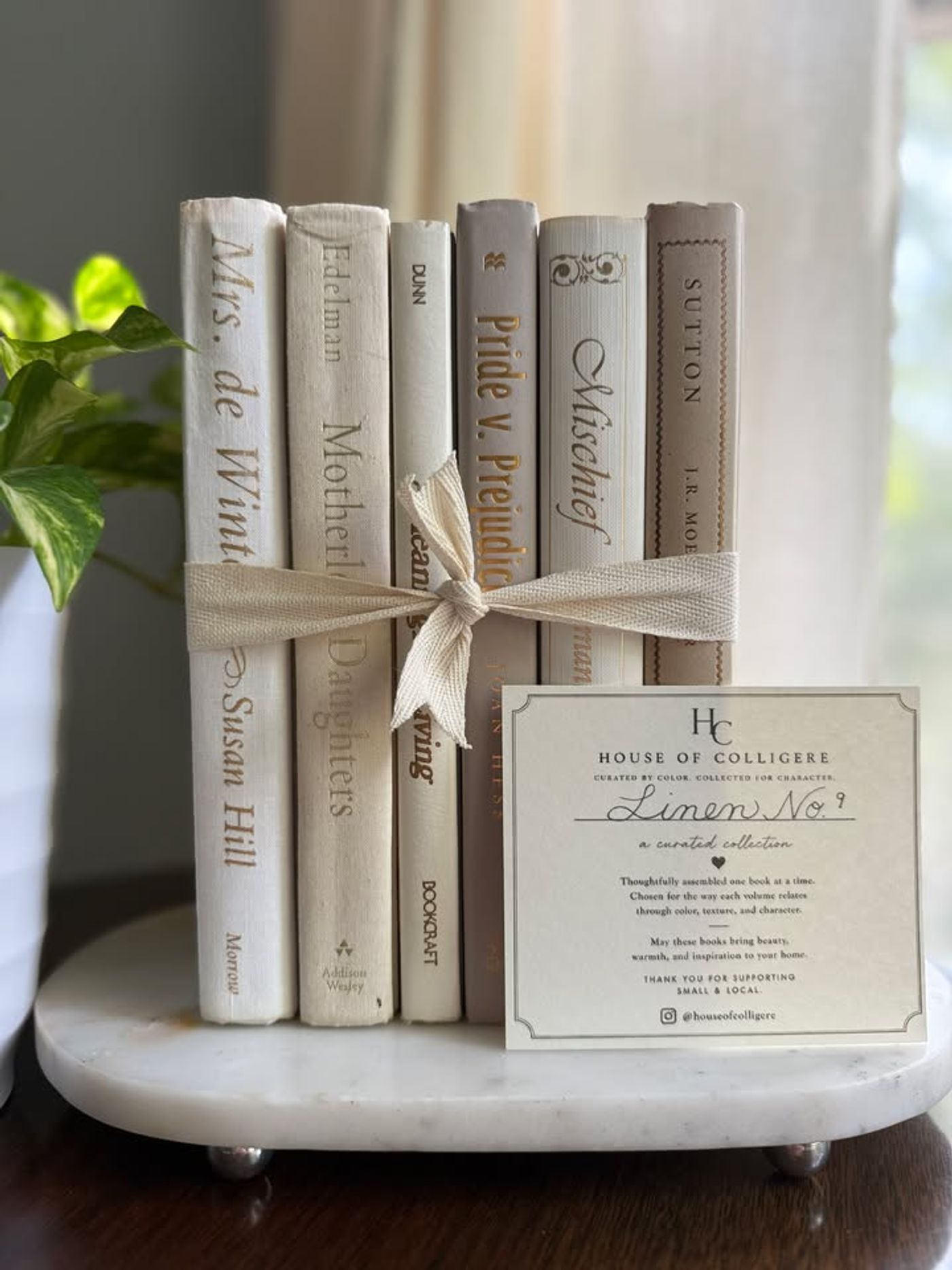 Curated collection of white, ivory, and cream hardcover books with soft neutral tones on a coffee table beside a plant 