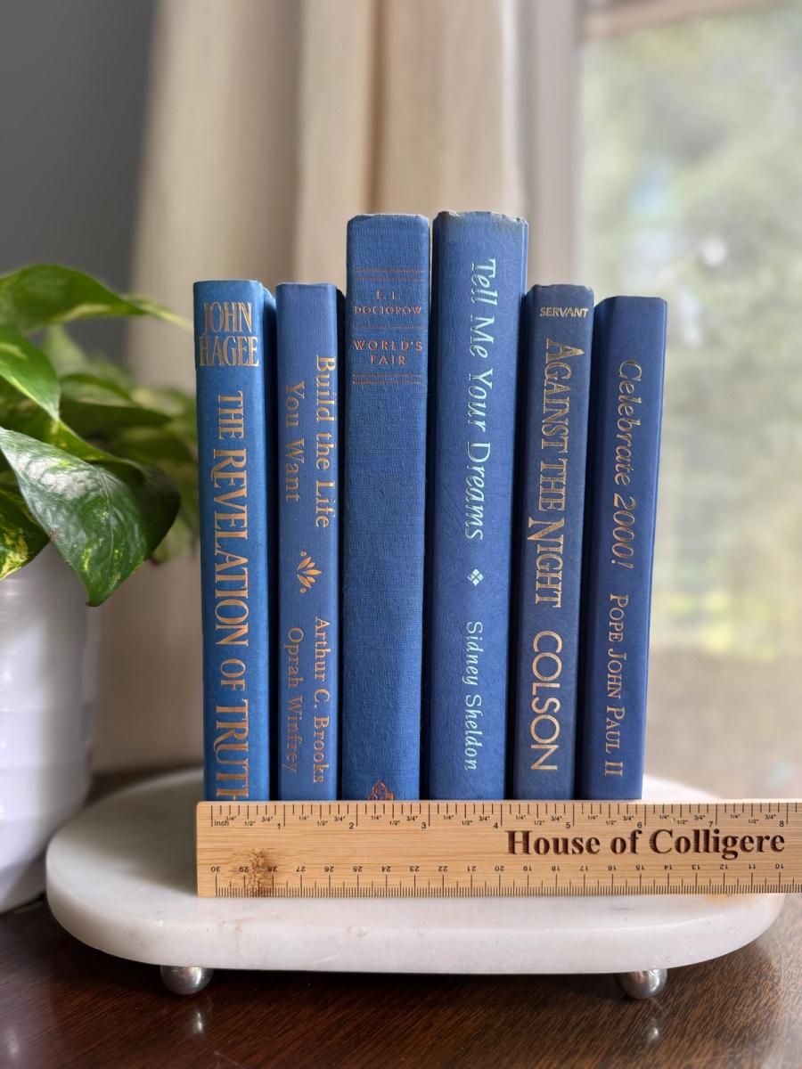 Curated collection of deep navy, warm ivory, brown, and gold-accented books with classic traditional character.