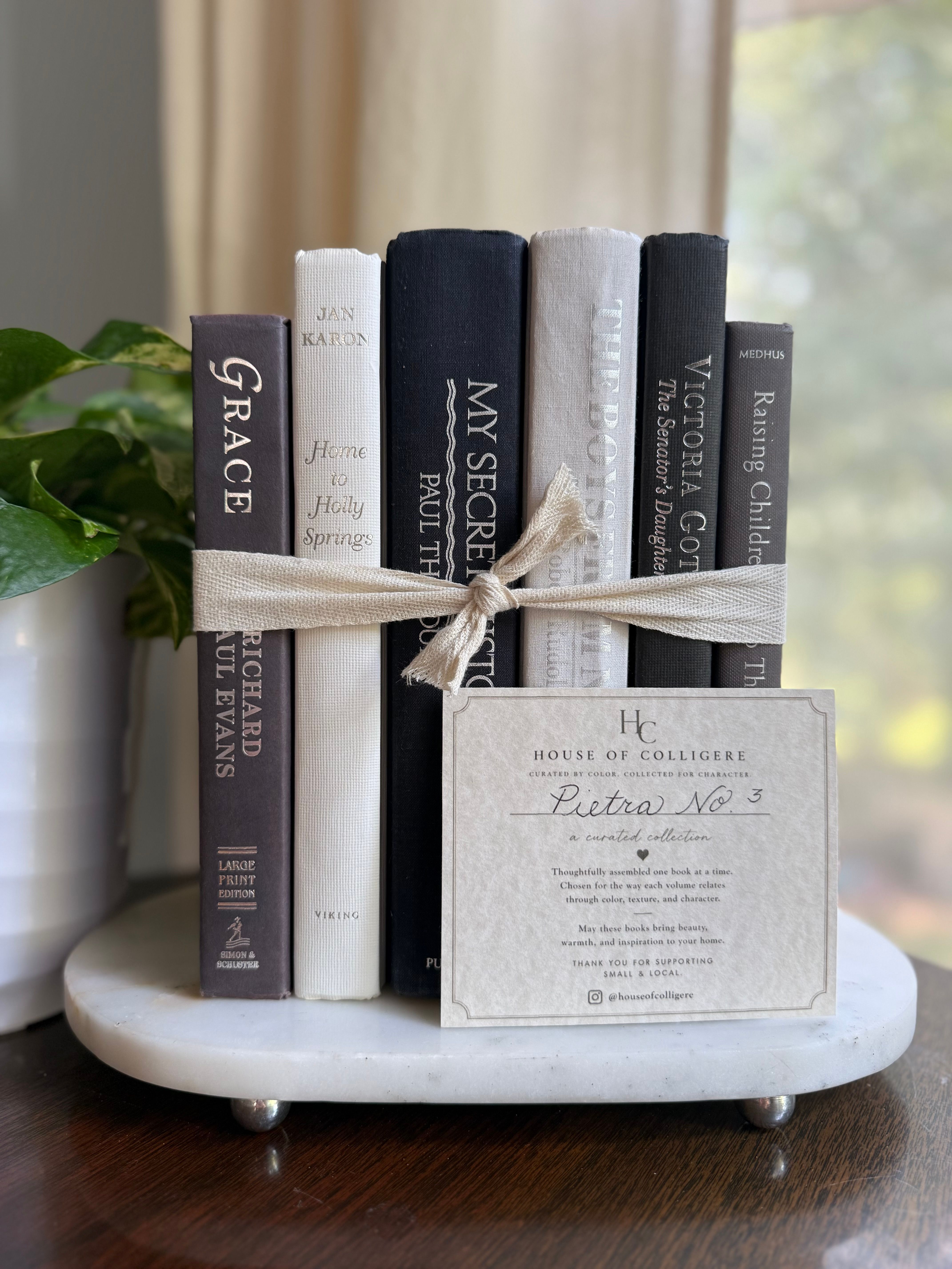 Six neutral hardcover books in charcoal, gray, stone, and plaster tones tied with a linen ribbon and styled on a round marble tray beside a green plant.