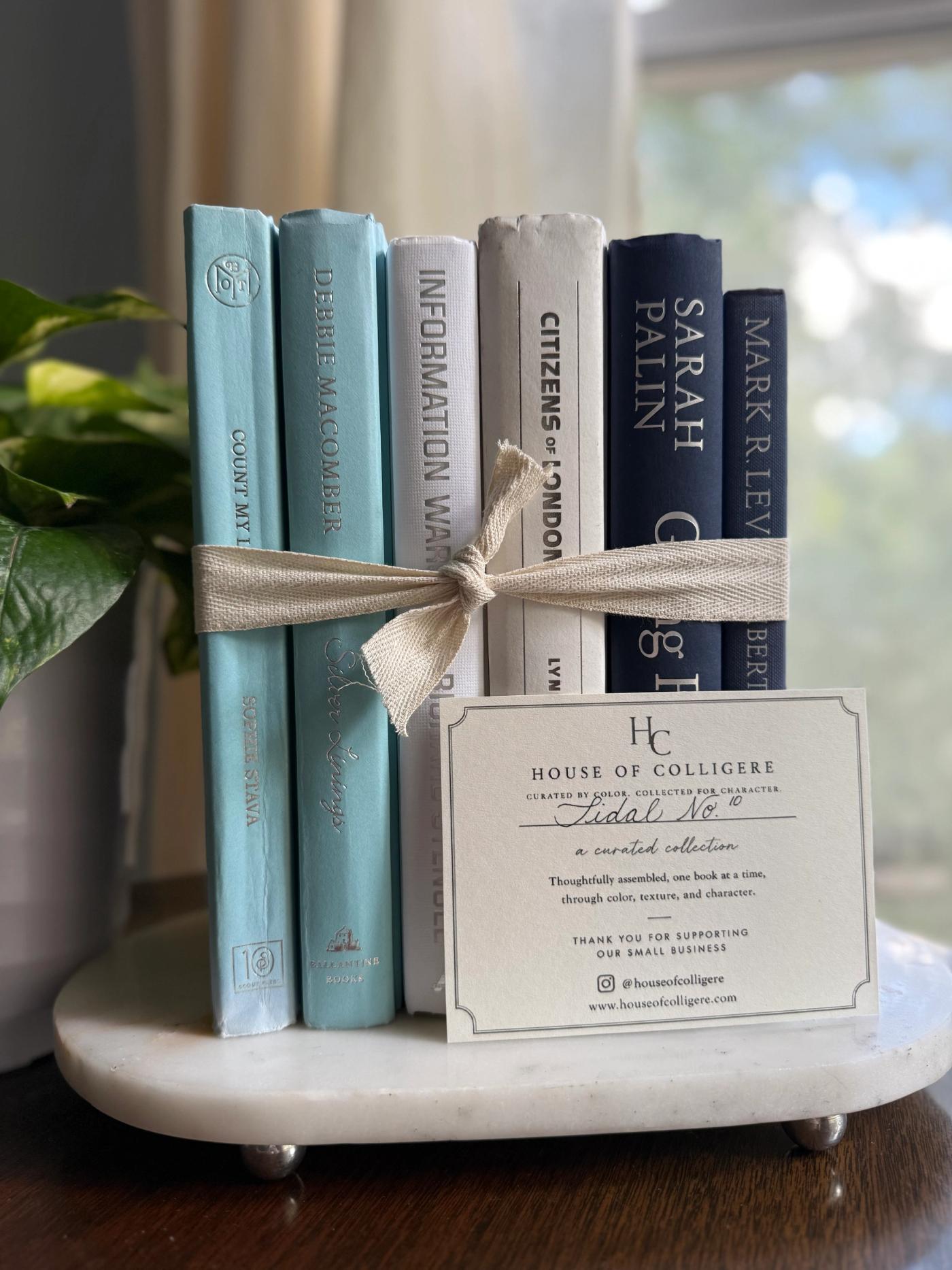 Curated collection of layered blue books ranging from pale coastal blue to deeper ocean tones.