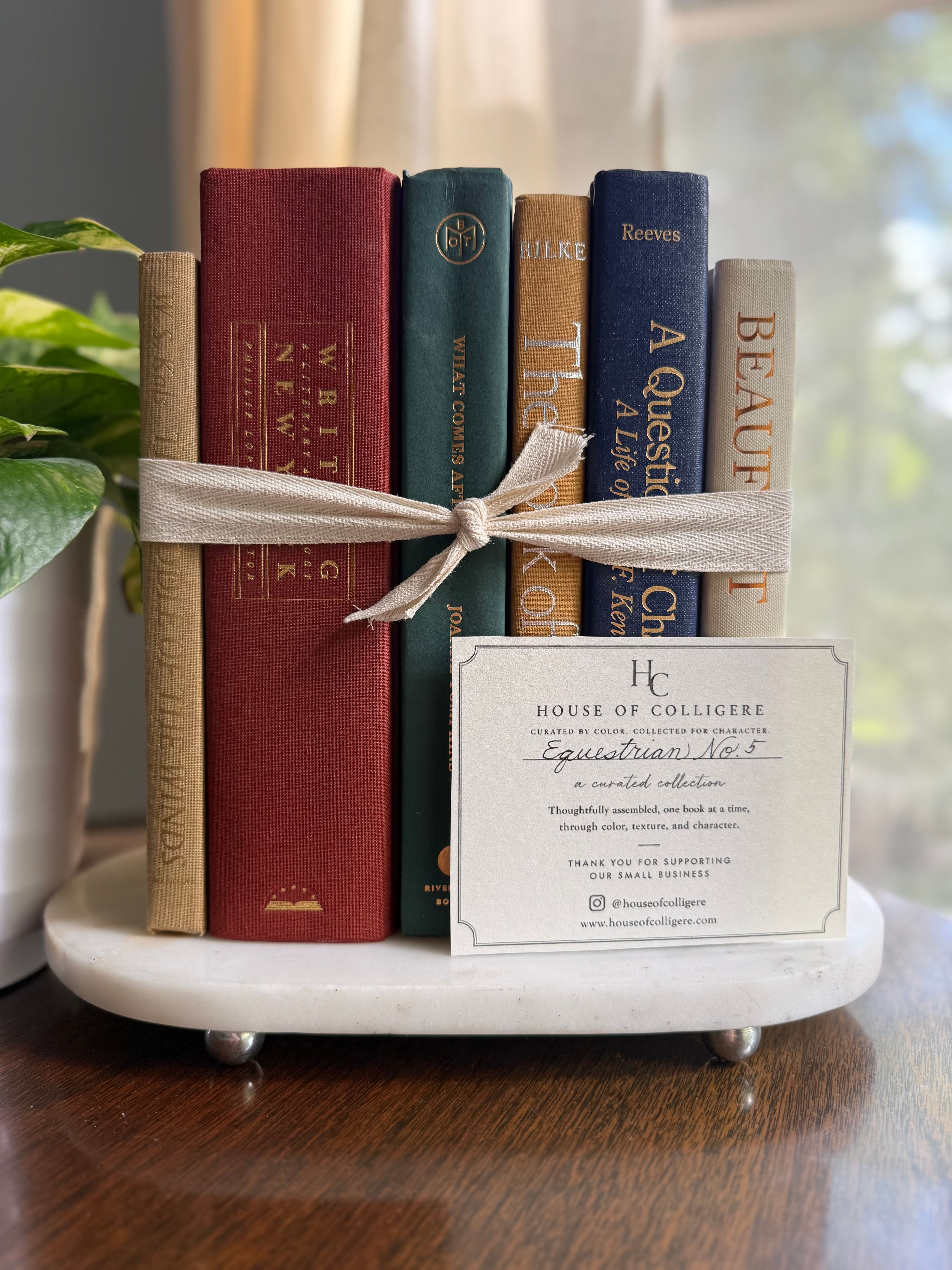 Curated collection of rich brown, hunter green, deep navy, and warm ivory books with classic gold accents.