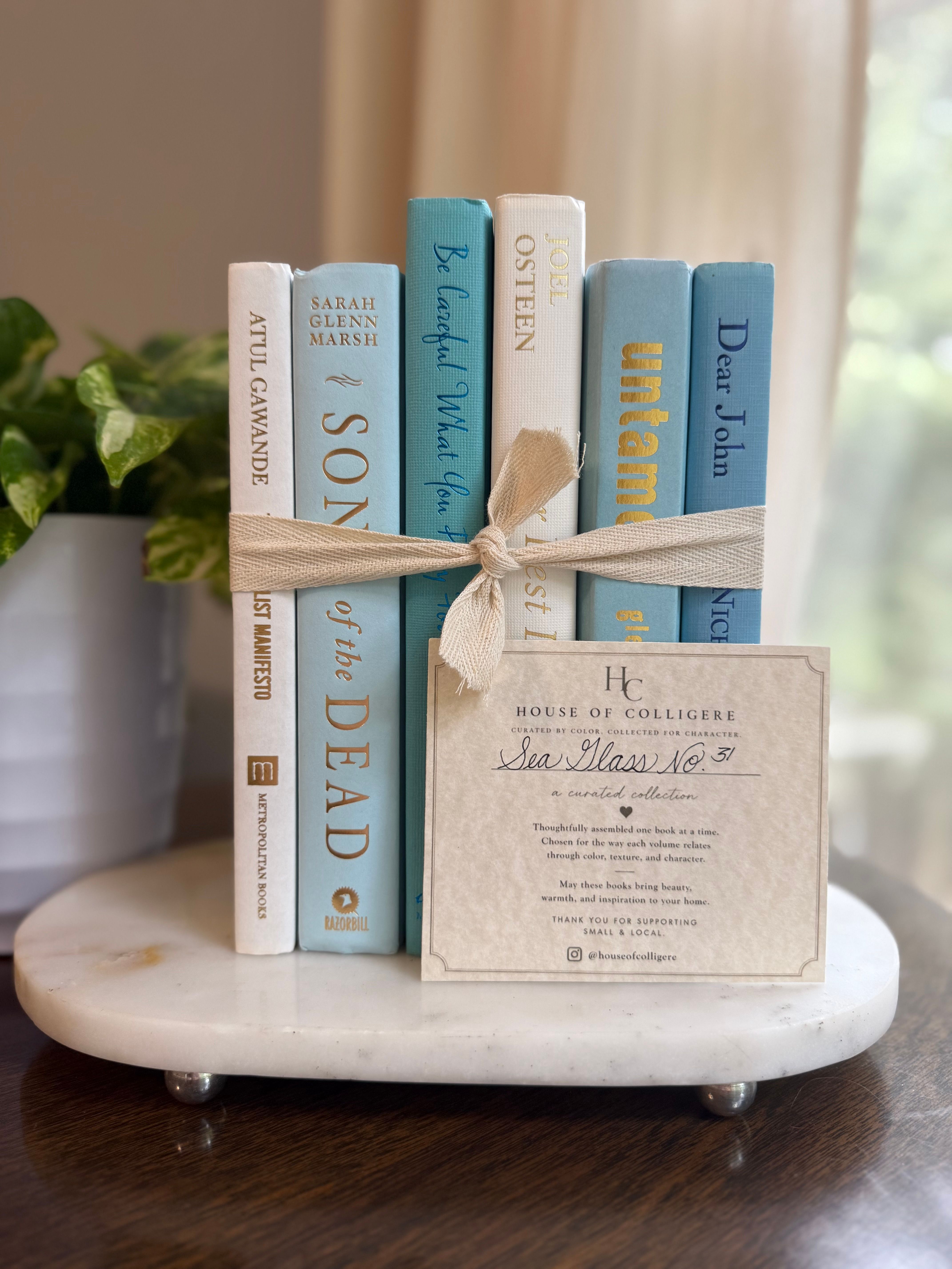 Curated collection of soft blue, aqua, seafoam, and muted coastal-toned books.