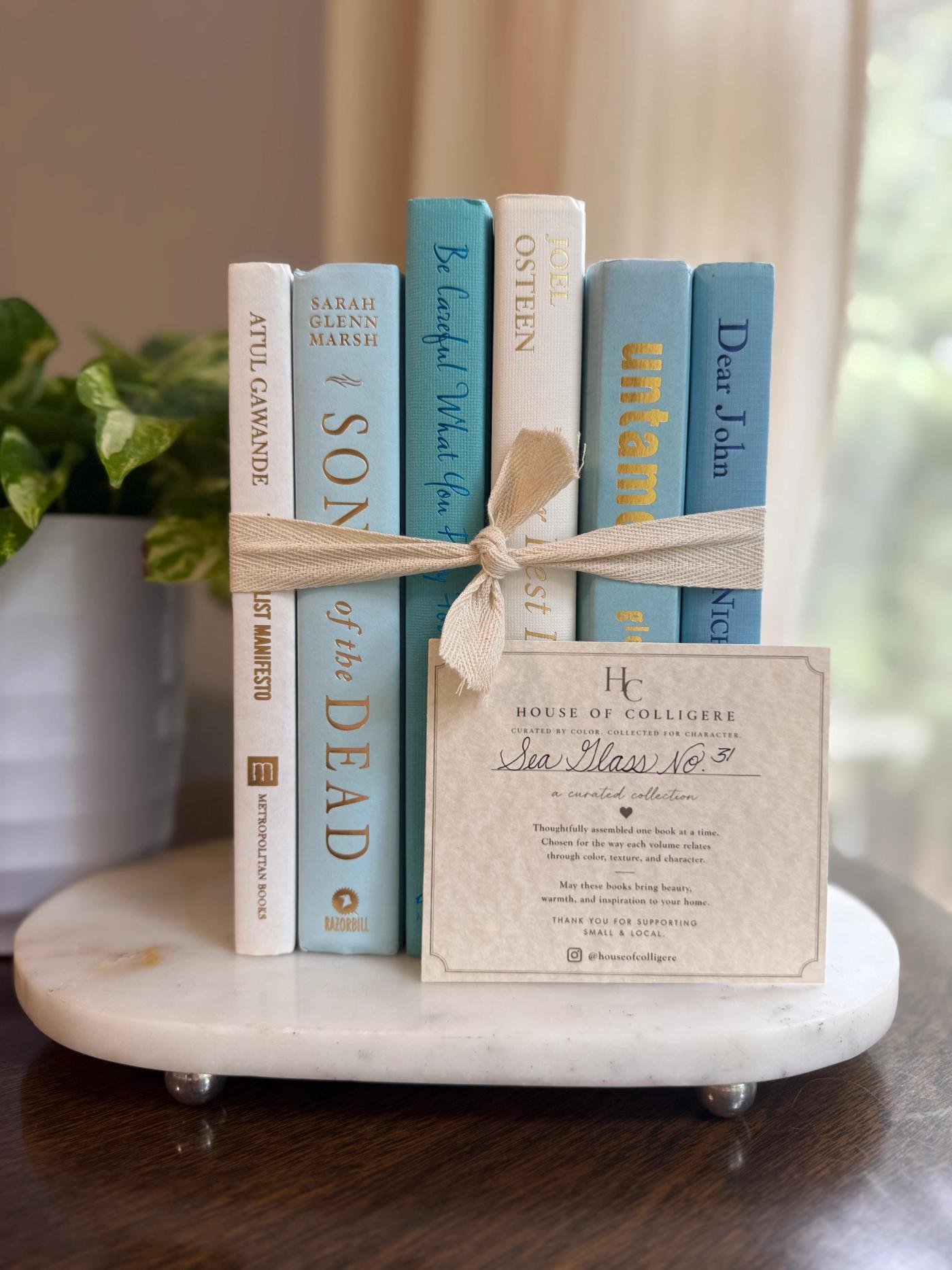Curated collection of soft blue, aqua, seafoam, and muted coastal-toned books.