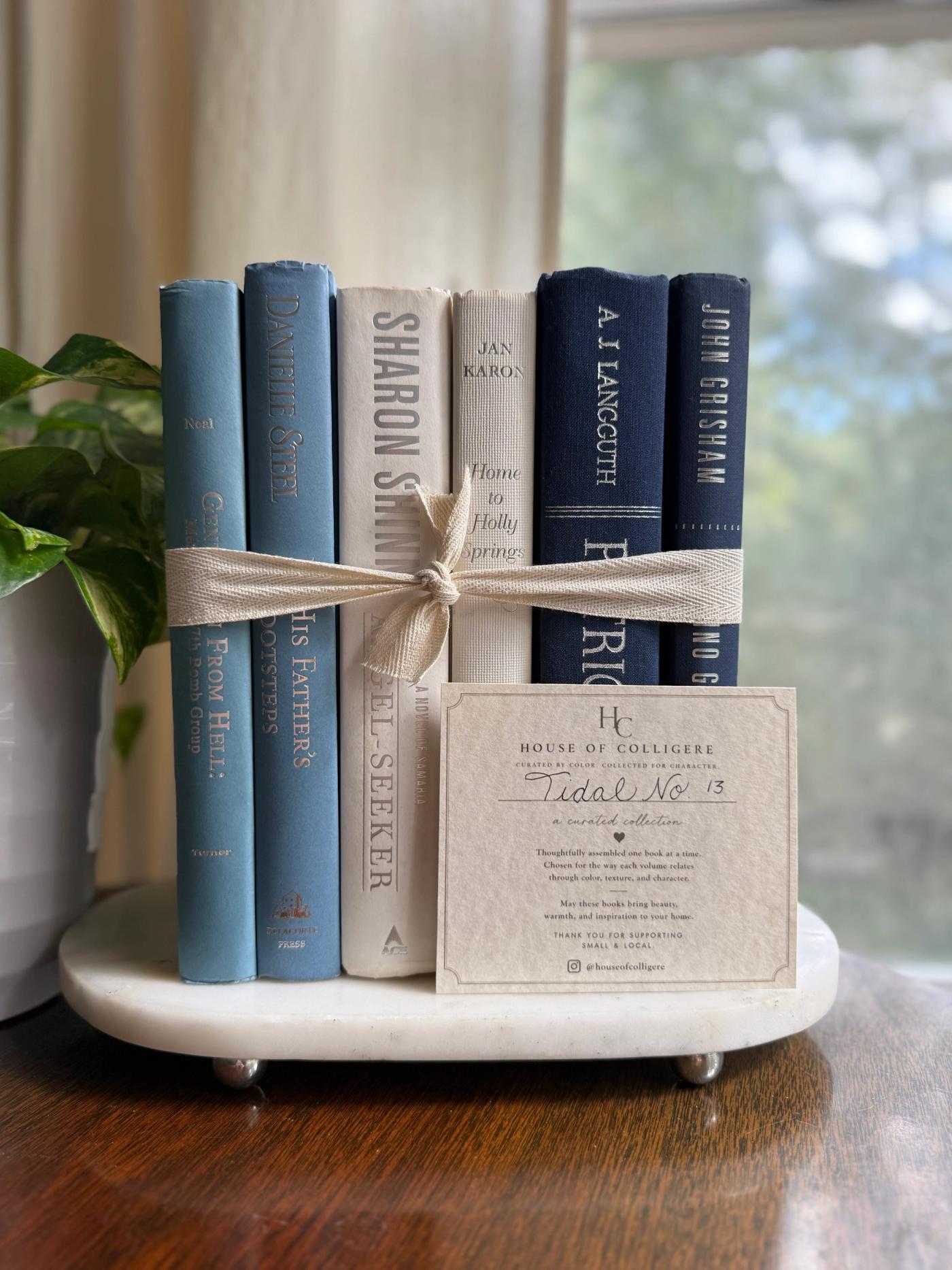 Curated collection of layered blue books ranging from pale coastal blue to deeper ocean tones.
