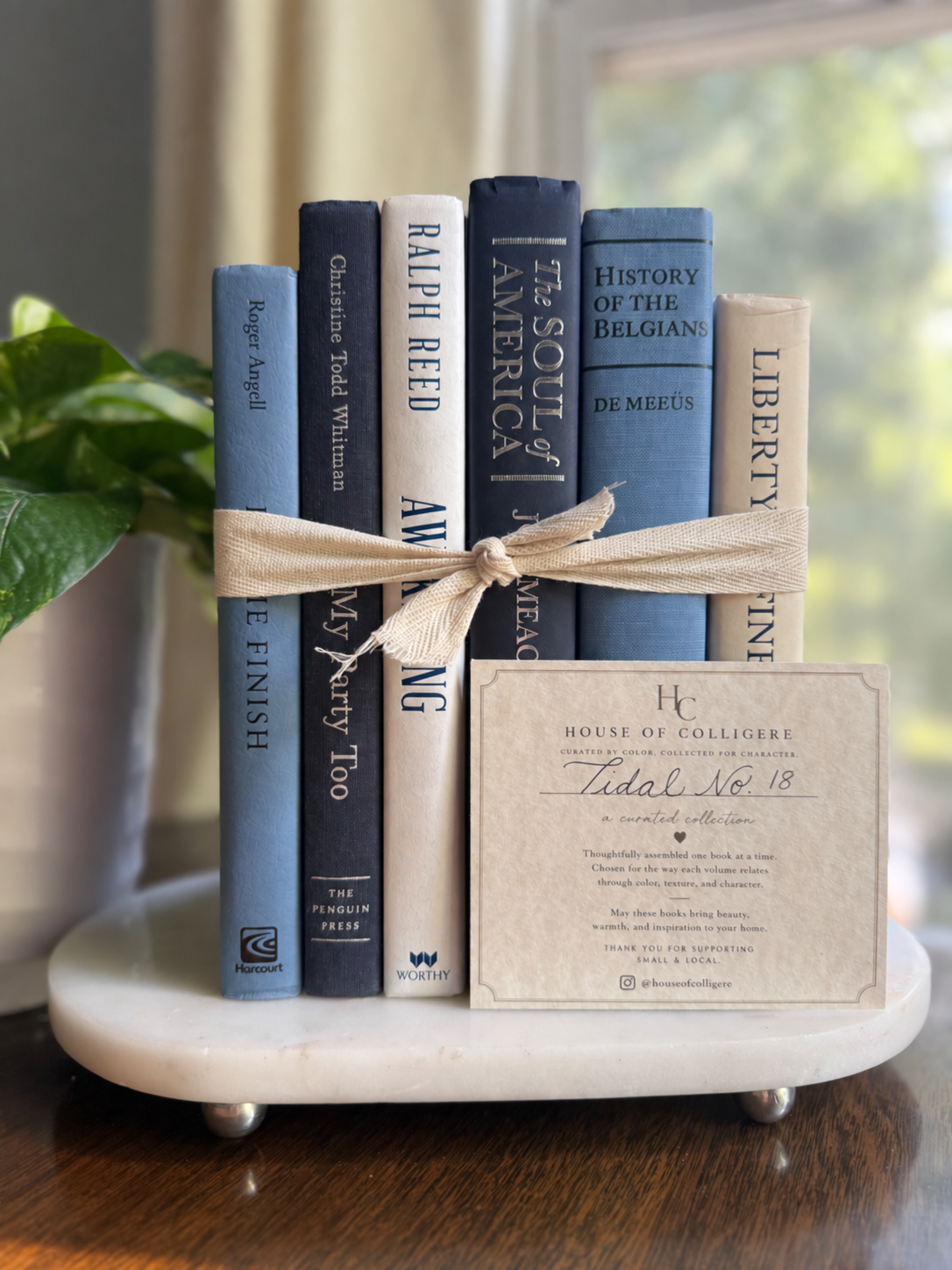 Curated collection of layered blue books ranging from pale coastal blue to deeper ocean tones.