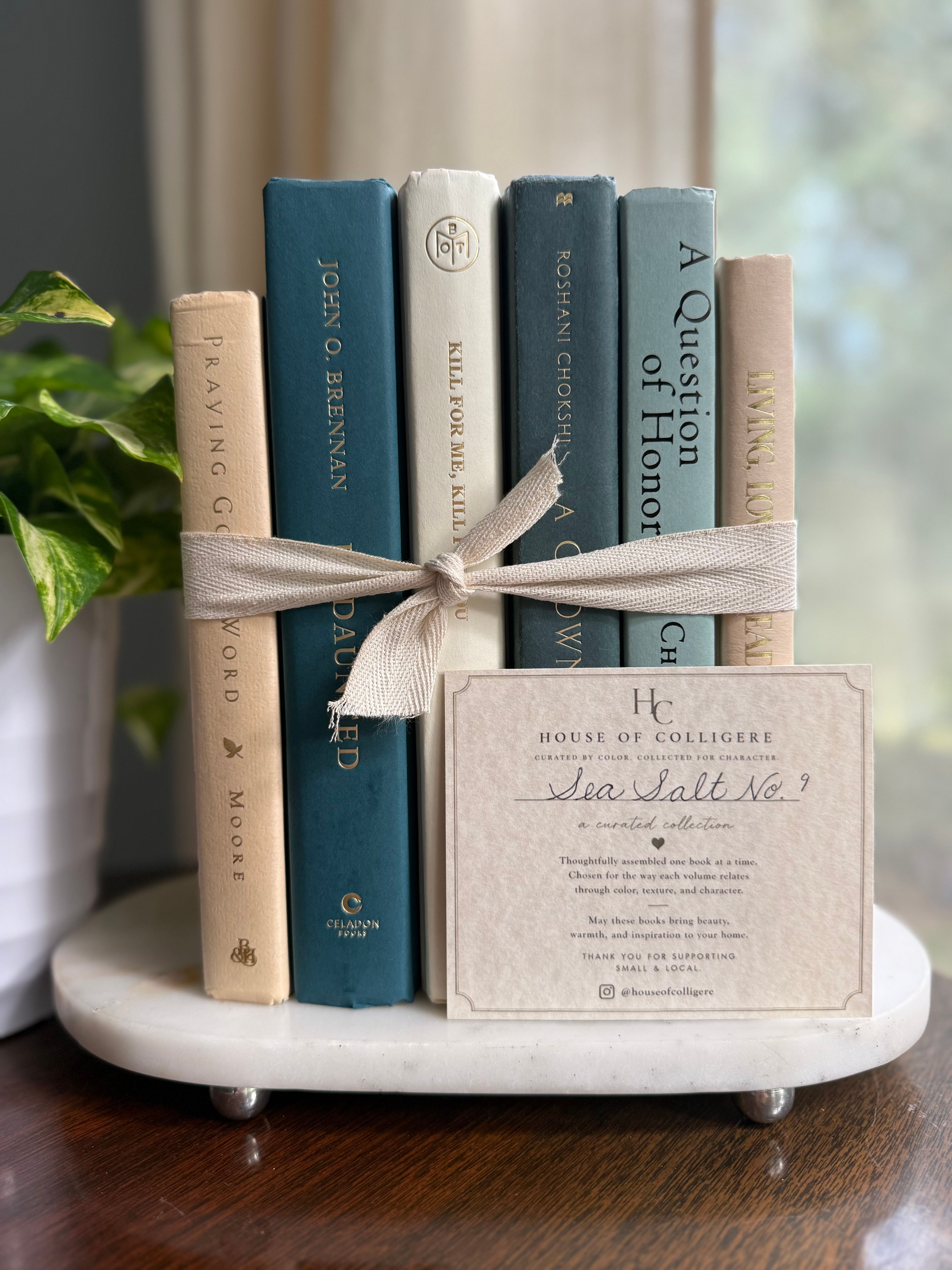 Curated collection of white, pale blue, sand, and soft coastal-neutral books with an airy, sun-faded look.