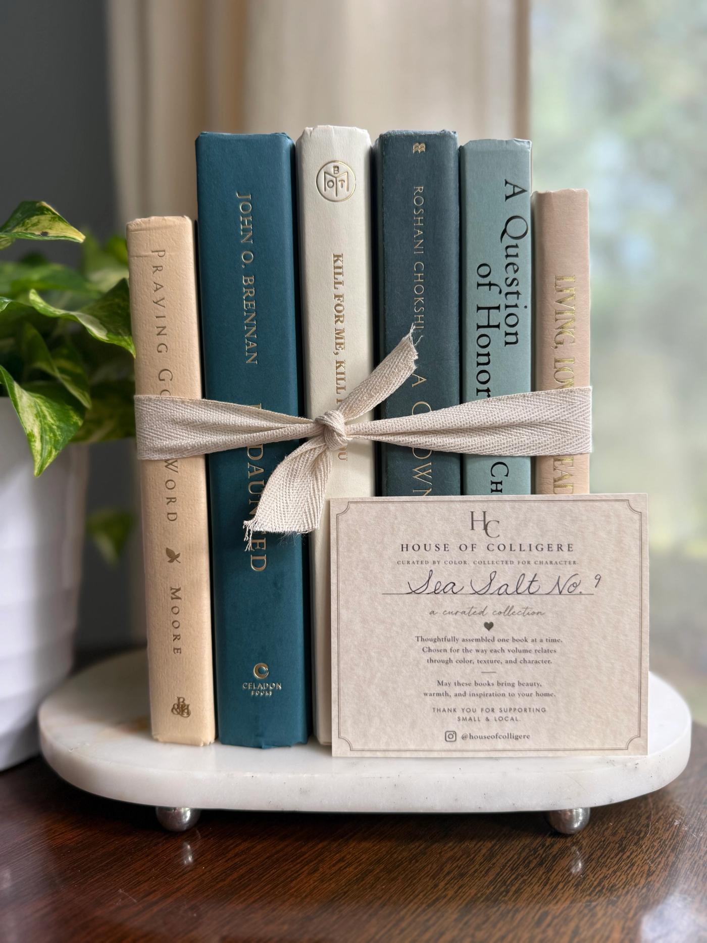 Curated collection of white, pale blue, sand, and soft coastal-neutral books with an airy, sun-faded look.