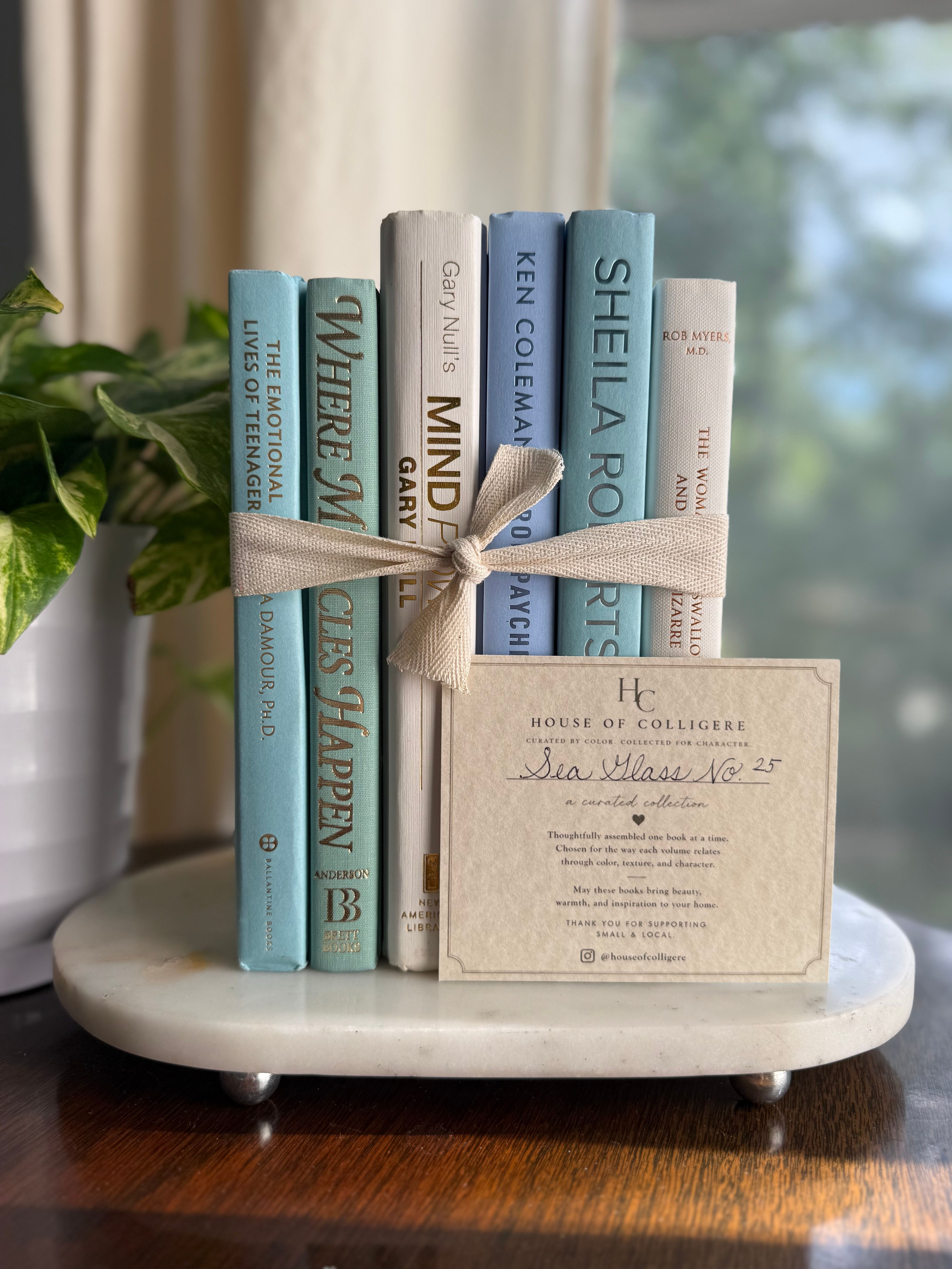 Curated collection of soft blue, aqua, seafoam, and muted coastal-toned books.