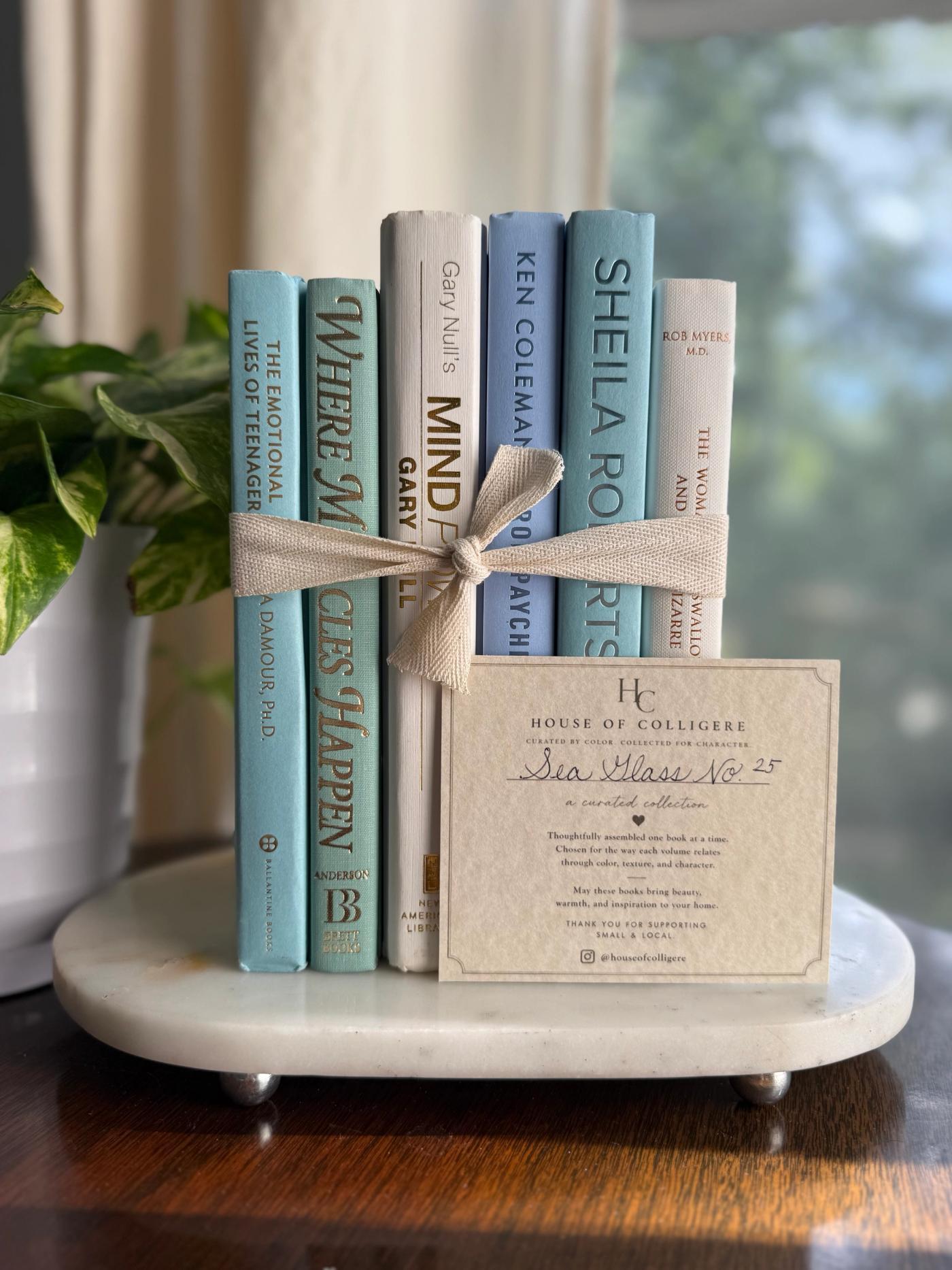 Curated collection of soft blue, aqua, seafoam, and muted coastal-toned books.