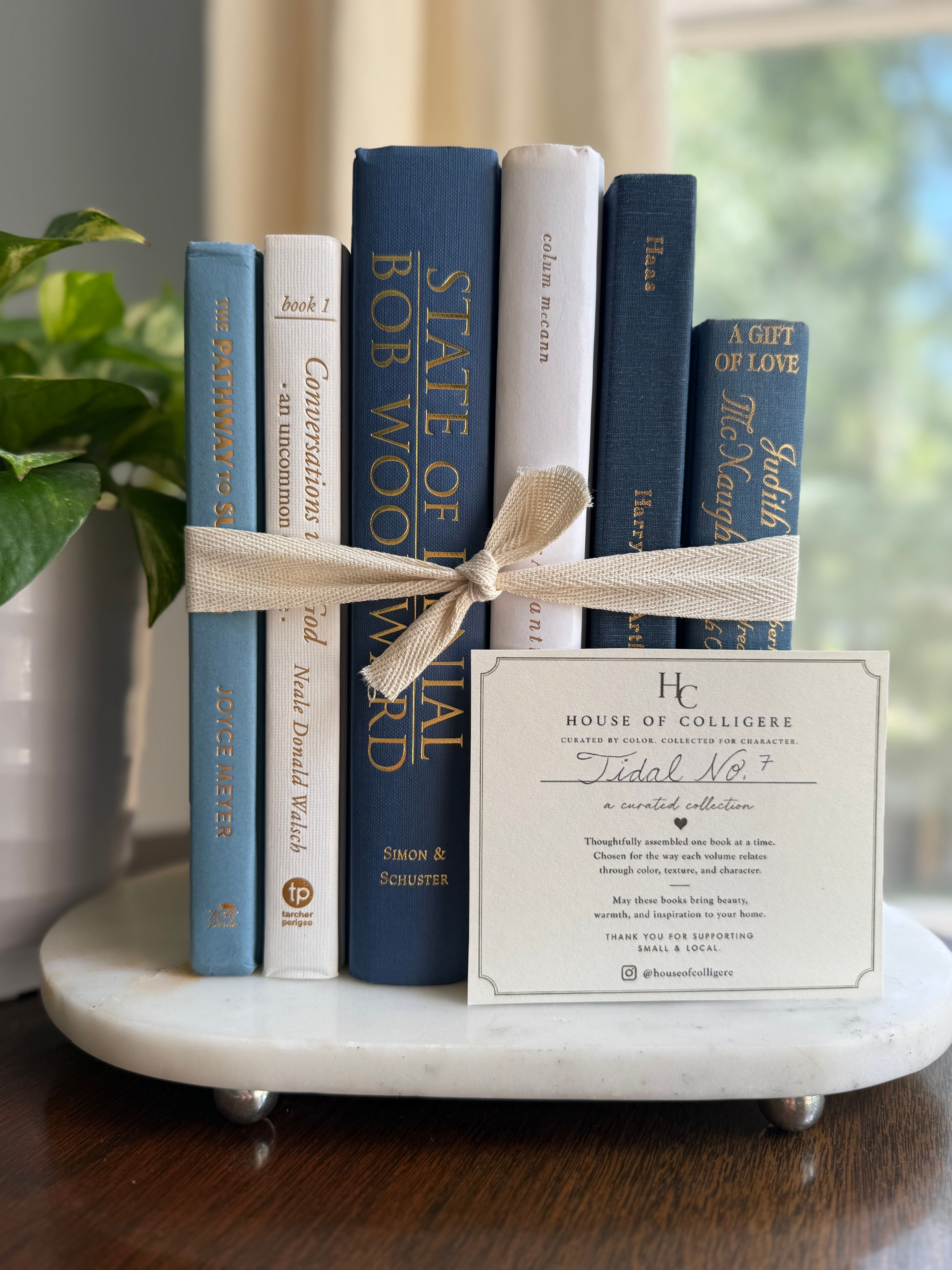 Curated collection of layered blue books ranging from pale coastal blue to deeper ocean tones.