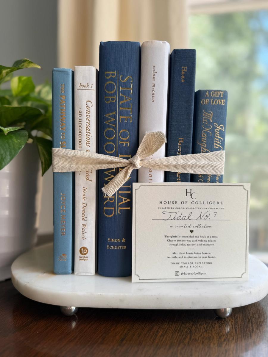 Curated collection of layered blue books ranging from pale coastal blue to deeper ocean tones.