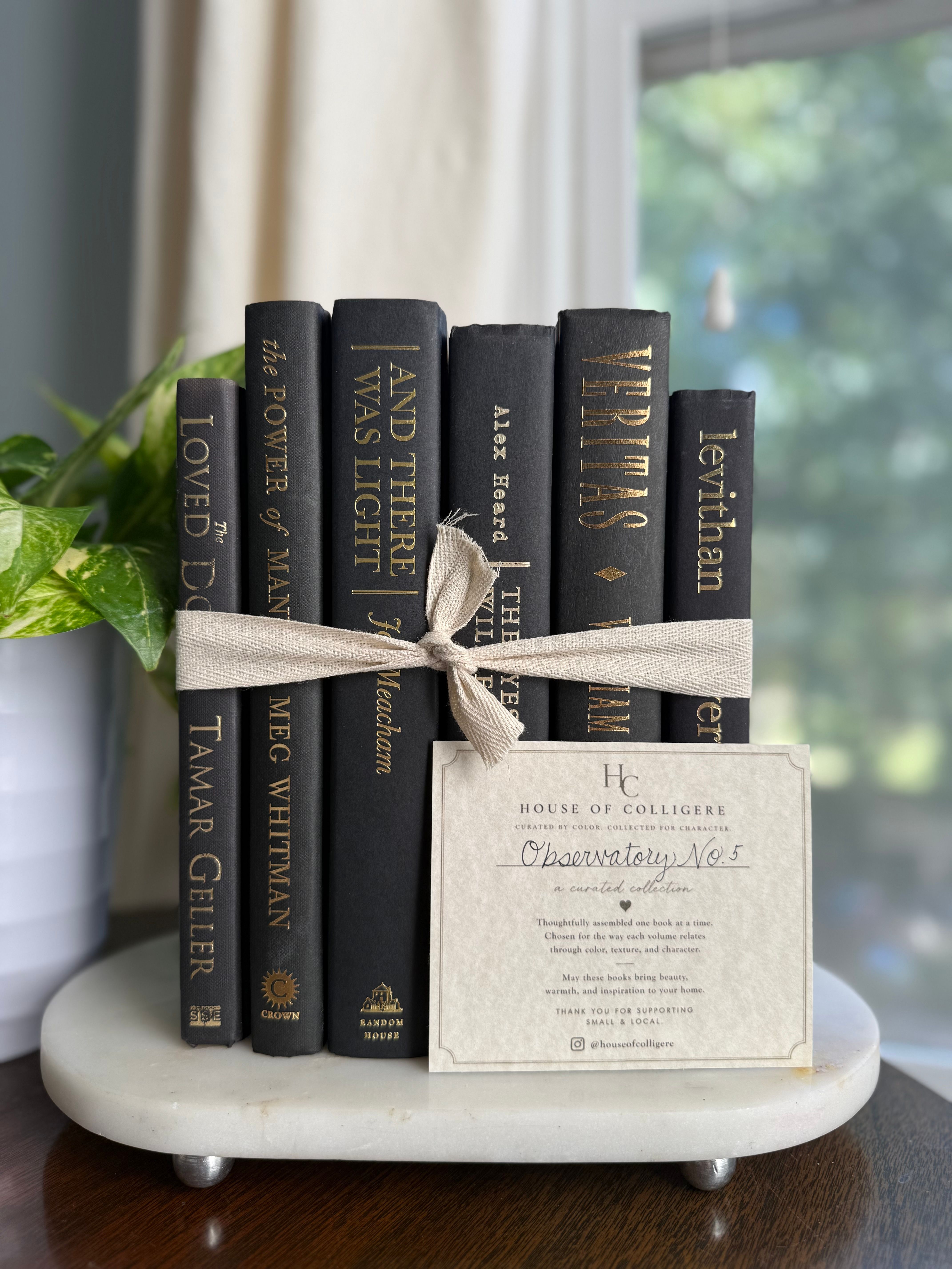 Curated collection of rich charcoal and black books with warm gold lettering and dramatic tonal depth.