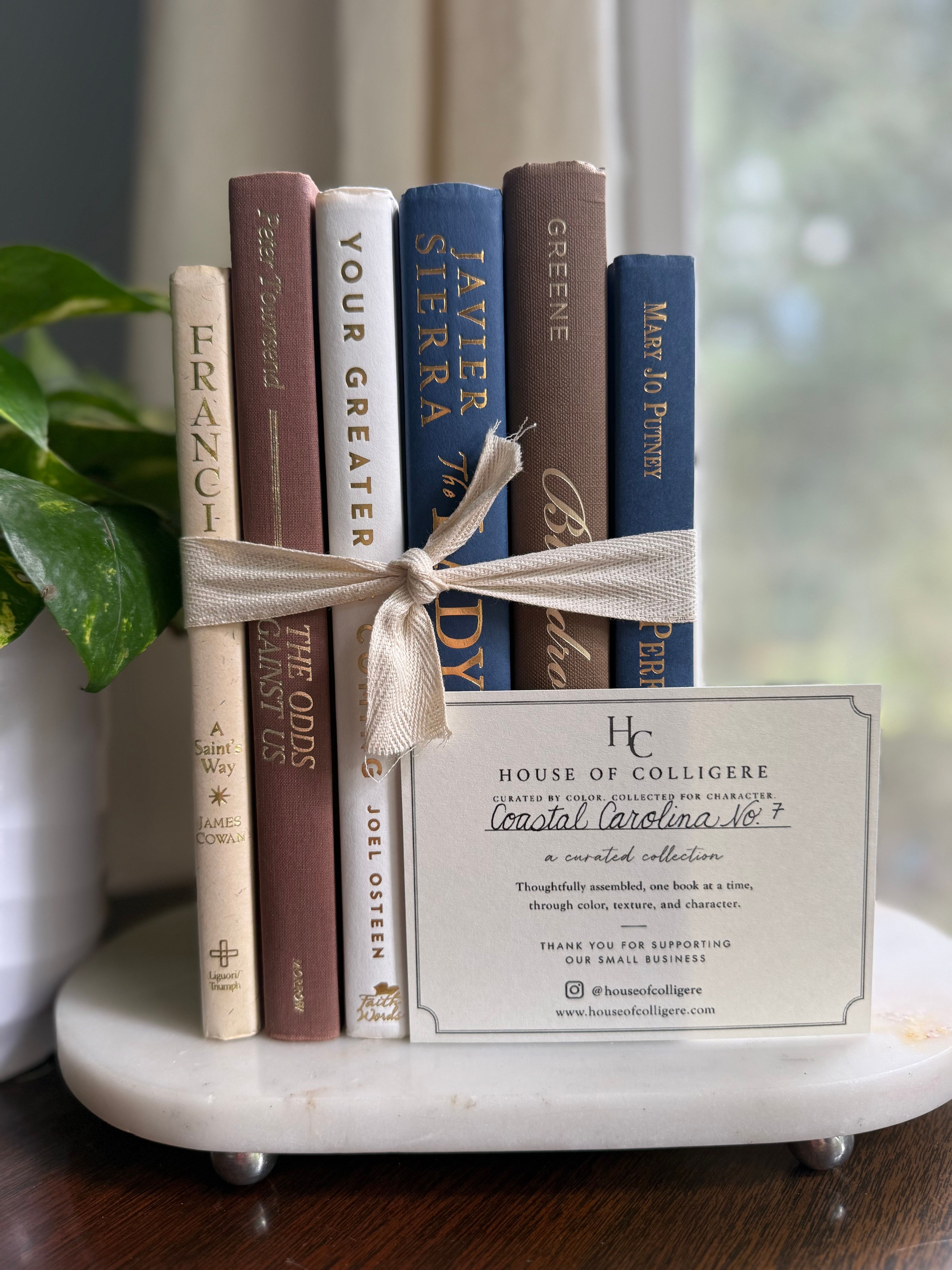 Curated collection of weathered blue, oyster, sand, linen, and driftwood-toned books with soft coastal character.