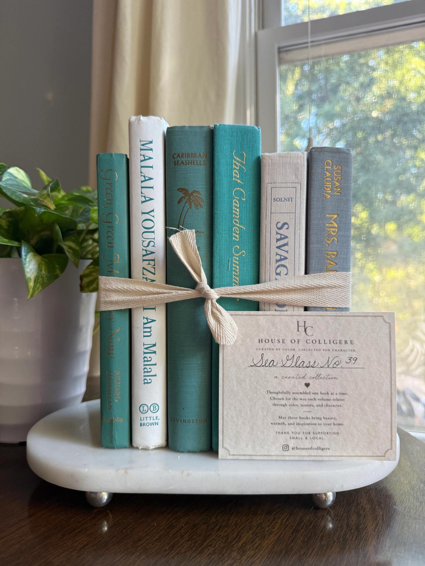 Curated collection of soft blue, aqua, seafoam, and muted coastal-toned books.
