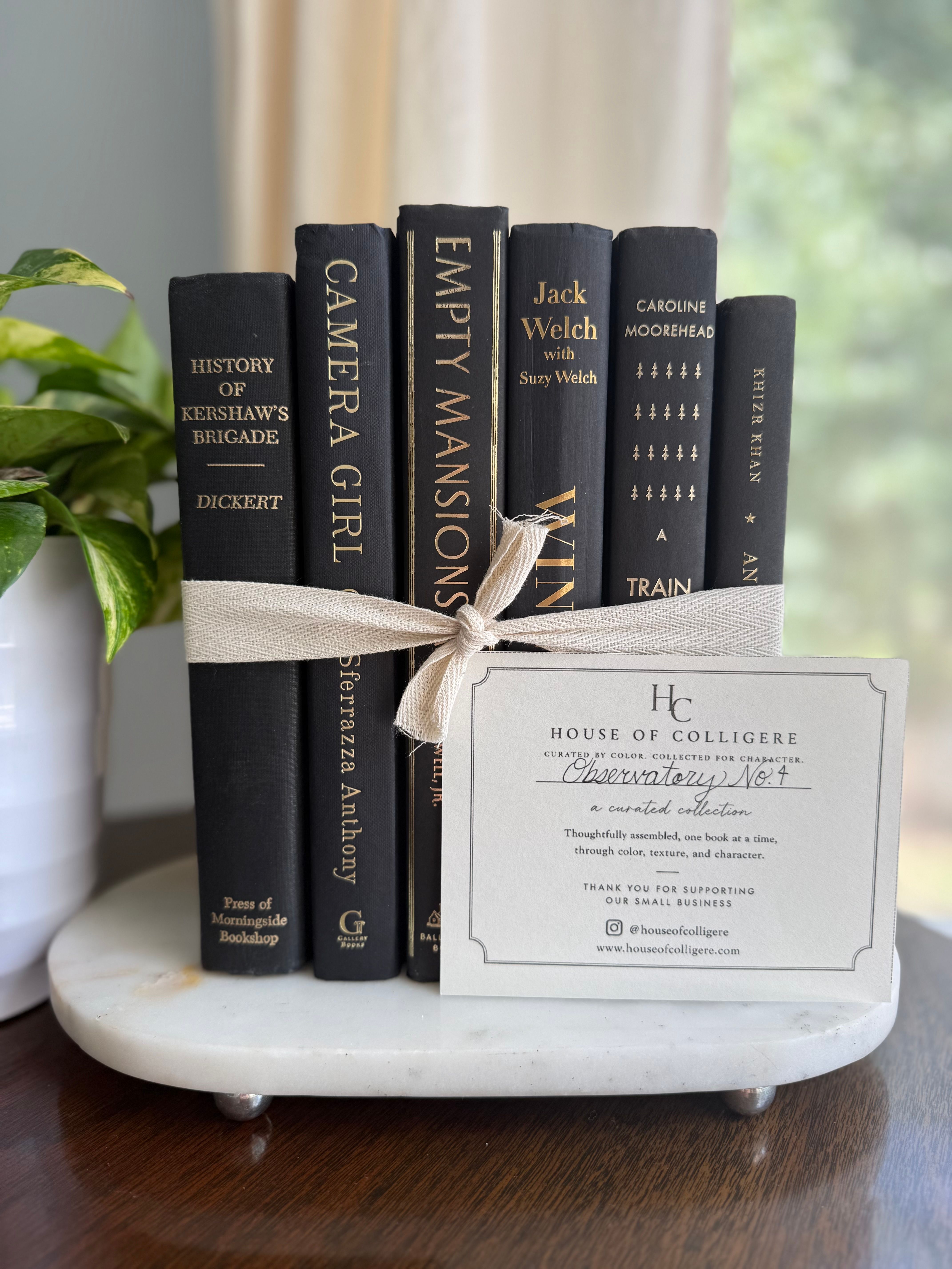 Curated collection of rich charcoal and black books with warm gold lettering and dramatic tonal depth.
