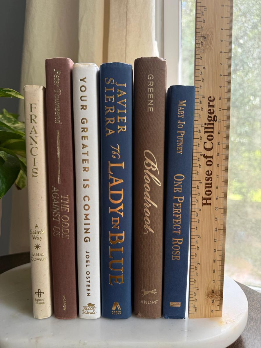 Curated collection of weathered blue, oyster, sand, linen, and driftwood-toned books with soft coastal character.