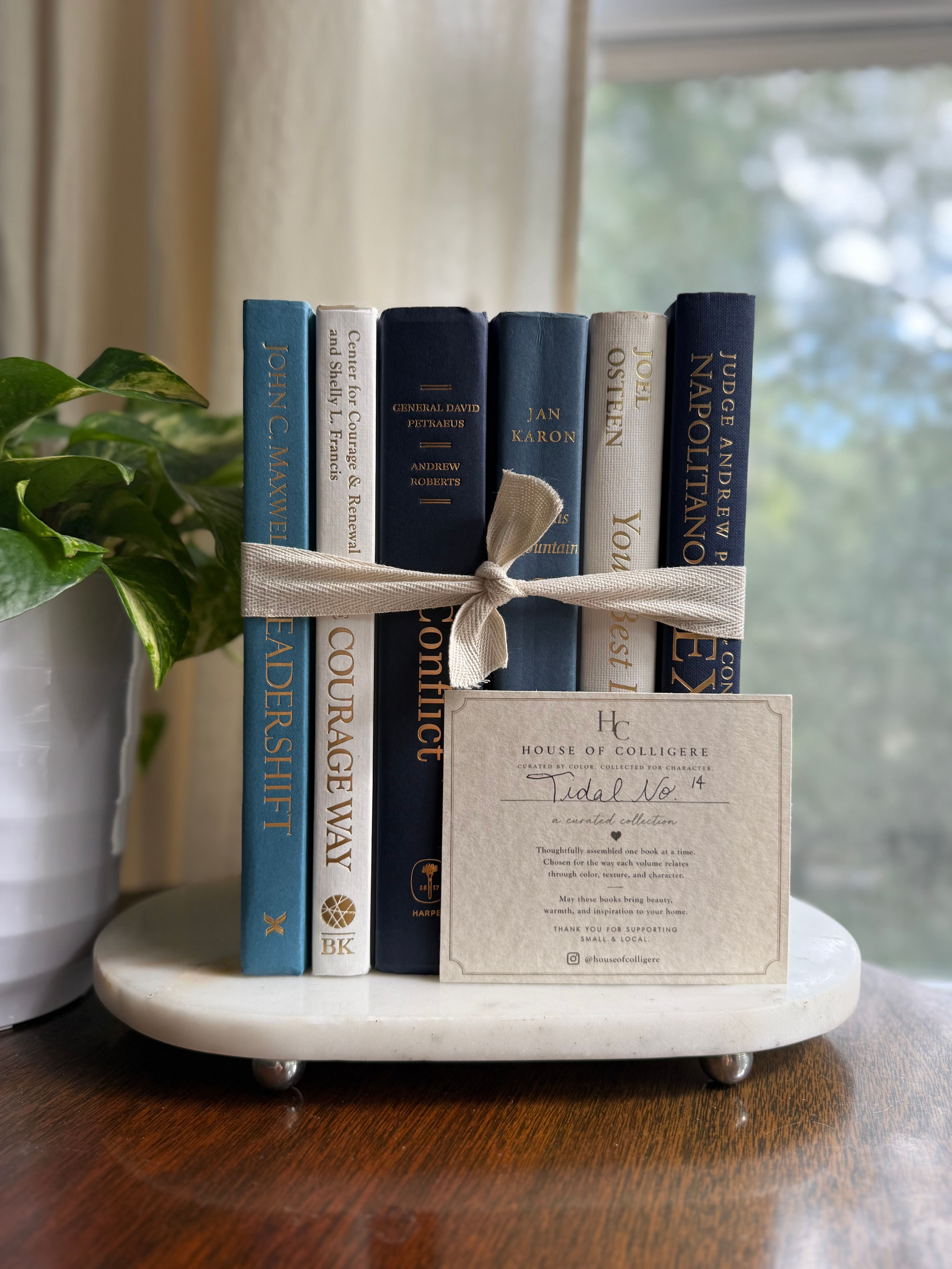 Curated collection of layered blue books ranging from pale coastal blue to deeper ocean tones.