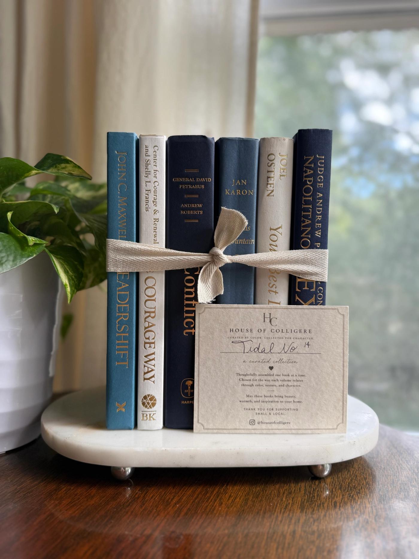 Curated collection of layered blue books ranging from pale coastal blue to deeper ocean tones.