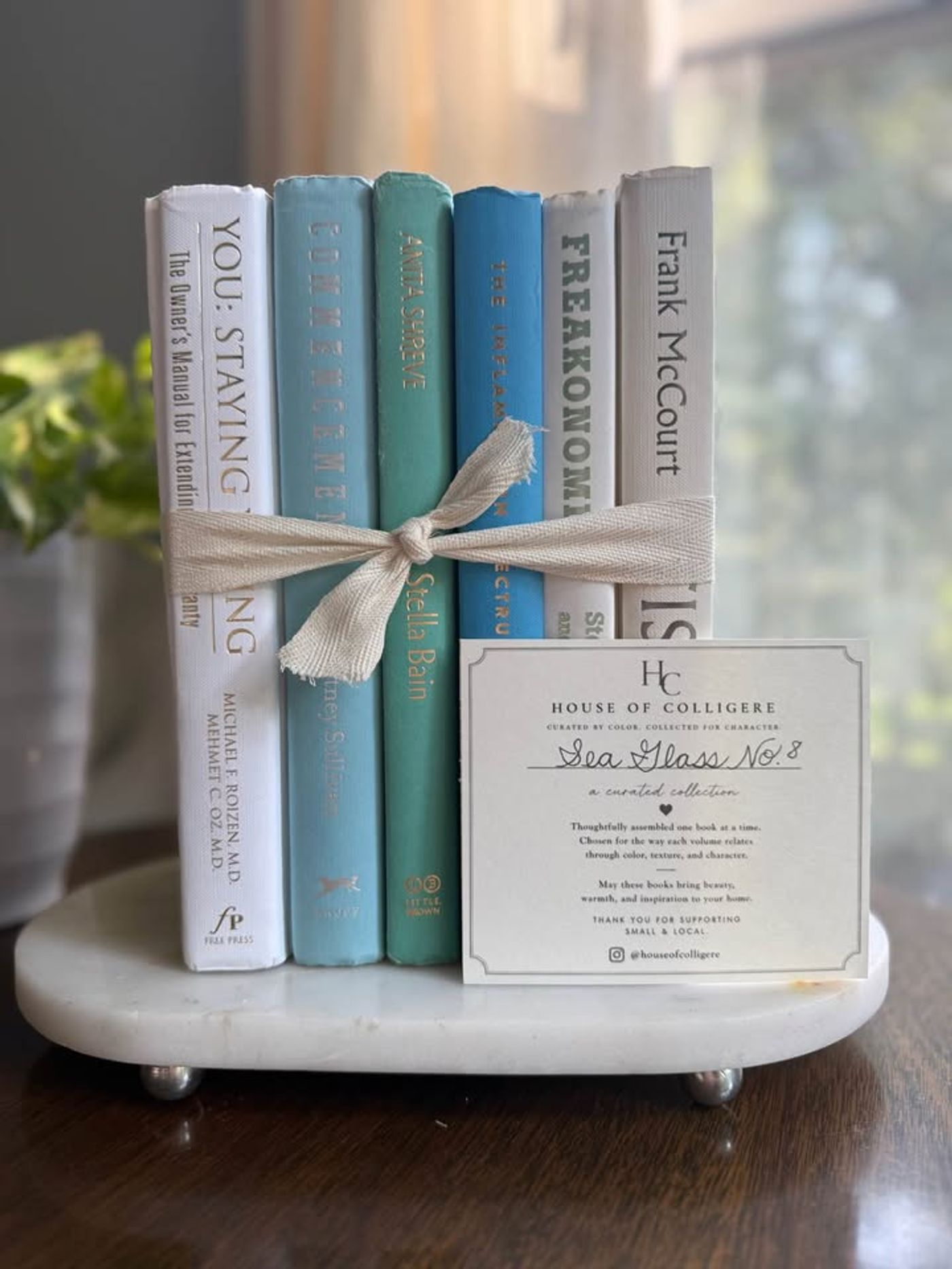 Curated collection of soft blue, aqua, seafoam, and muted coastal-toned books.