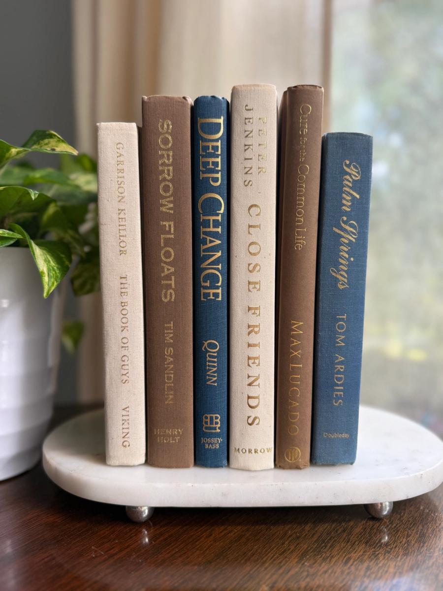 Curated collection of weathered blue, oyster, sand, linen, and driftwood-toned books with soft coastal character.