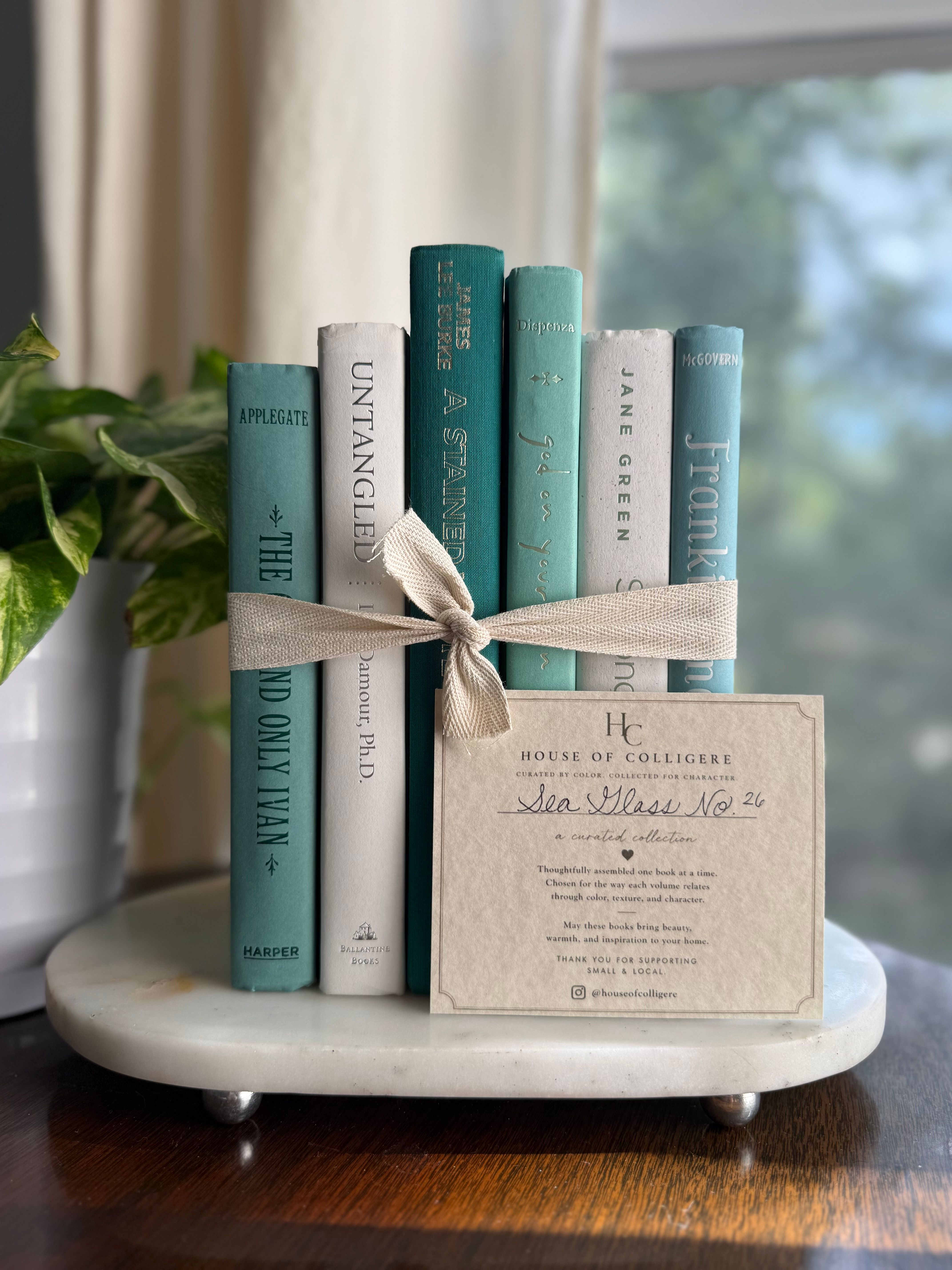 Curated collection of soft blue, aqua, seafoam, and muted coastal-toned books.