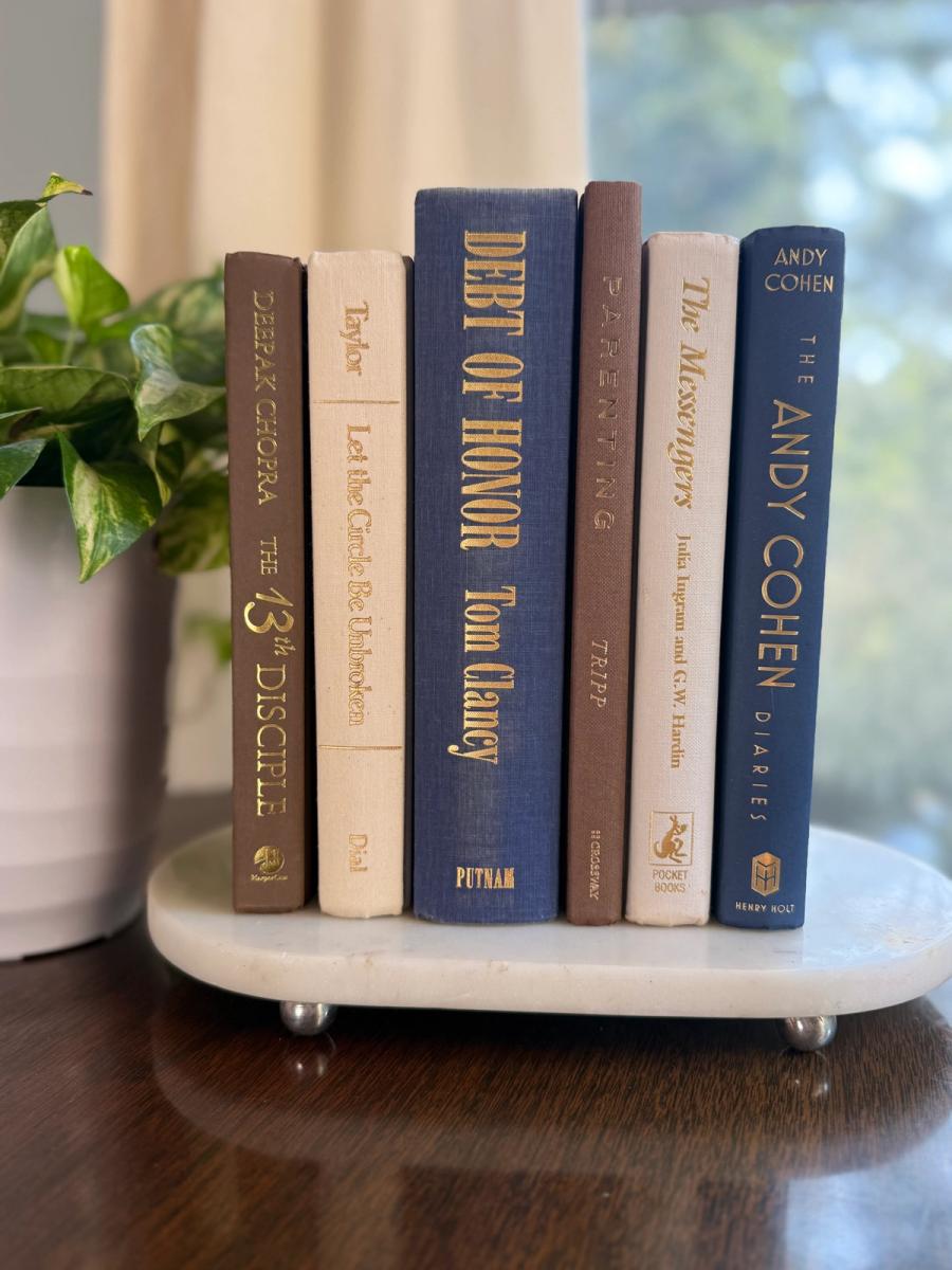 Curated collection of weathered blue, oyster, sand, linen, and driftwood-toned books with soft coastal character.